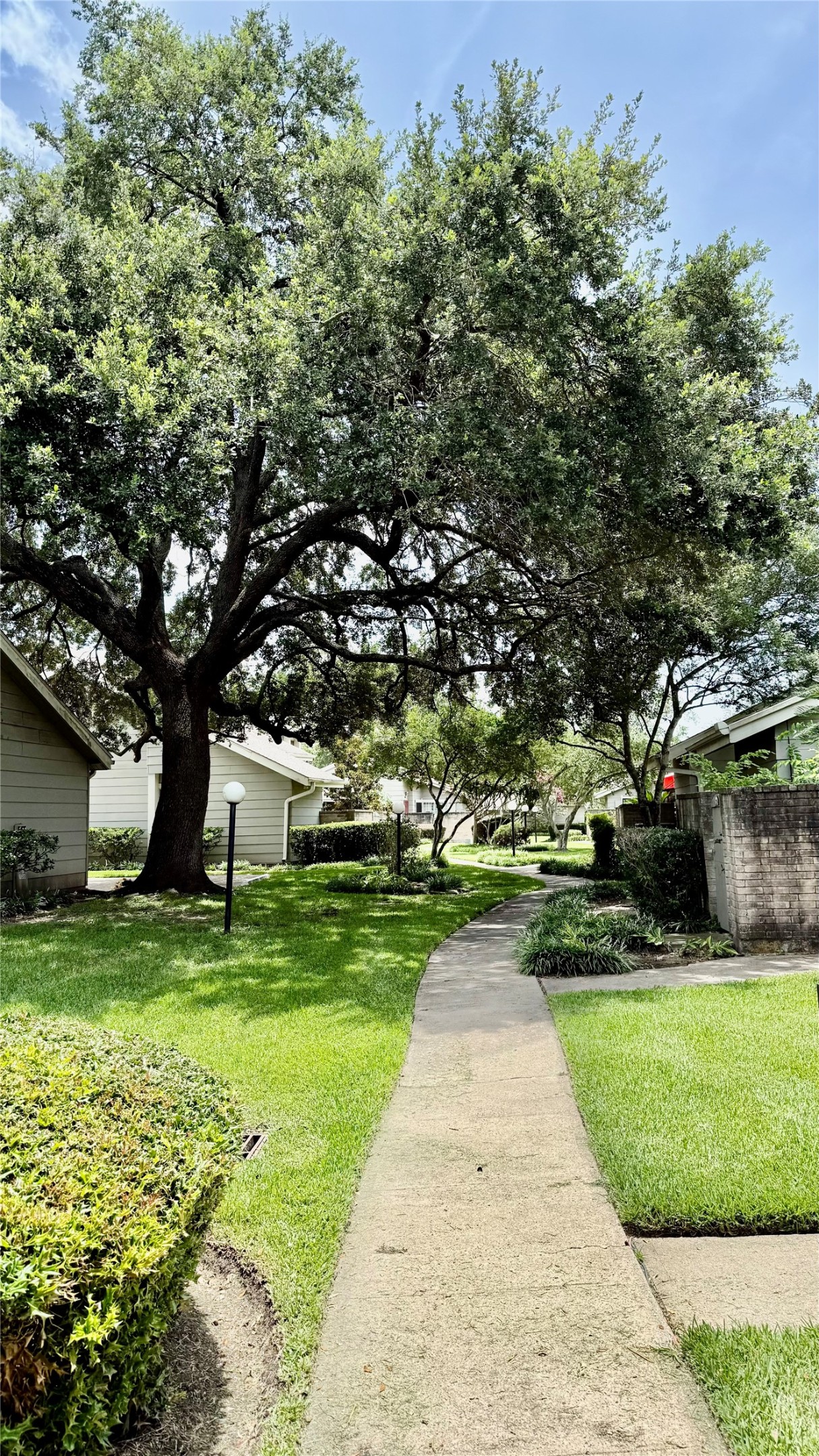 12922 Wirevine Lane Houston, TX 77072 - Photo 26 of 26 a view of a park with large trees