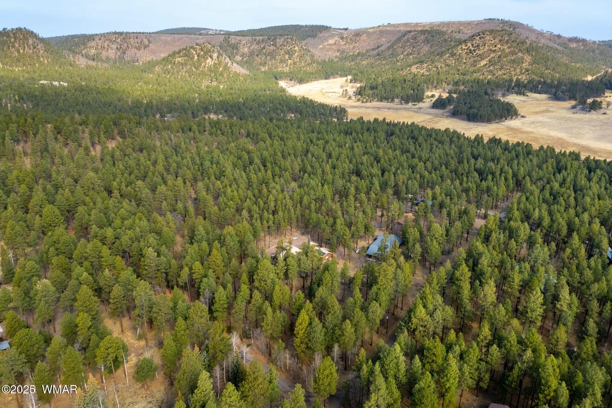 15 Co Road Alpine, AZ 85920 - Photo 33 of 40 tempImageVvqxBD
