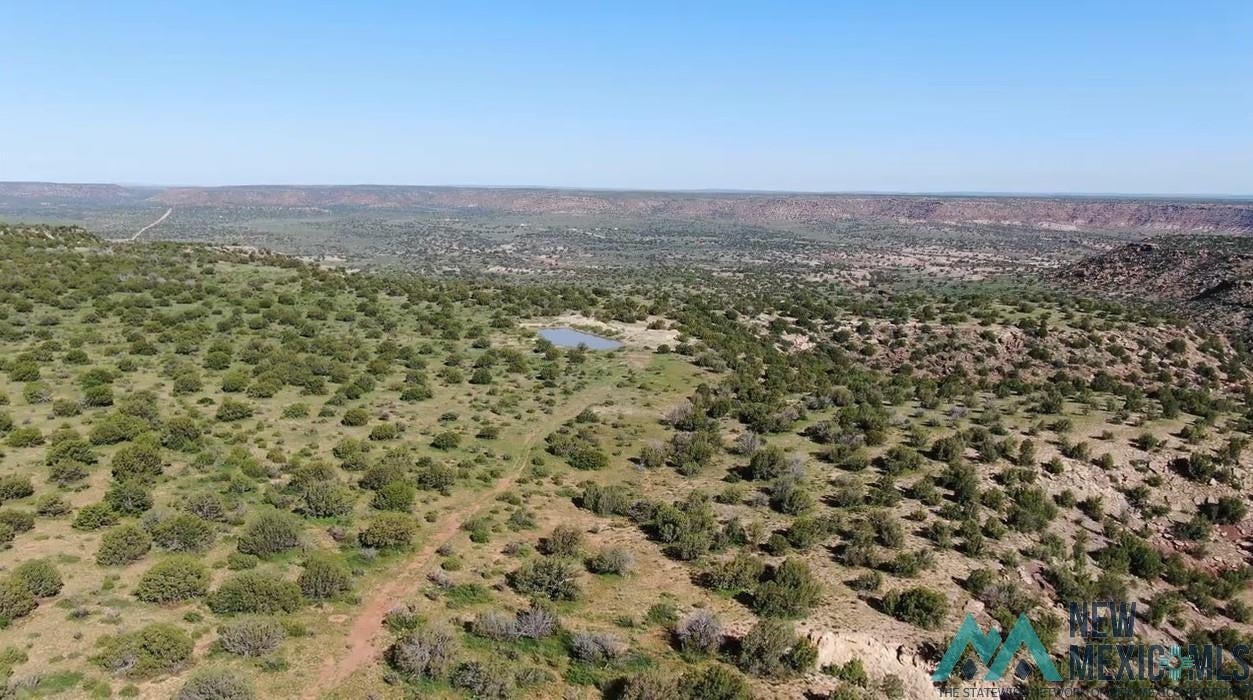 Pecos Valley Ranch Santa Rosa, NM 88435 - Photo 29 of 50 Gallery Image 29