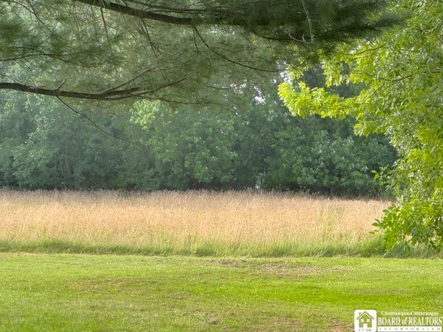 151 West Chestnut Street Dunkirk, NY 14048 - Photo 15 of 32