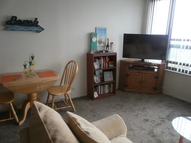 $1,395 | 5100 North Marine Drive, Unit 15C, Chicago, IL 60640