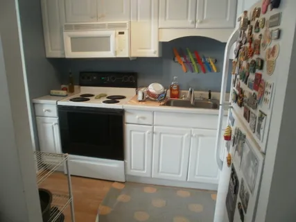 $1,395 | 5100 North Marine Drive, Unit 15C, Chicago, IL 60640