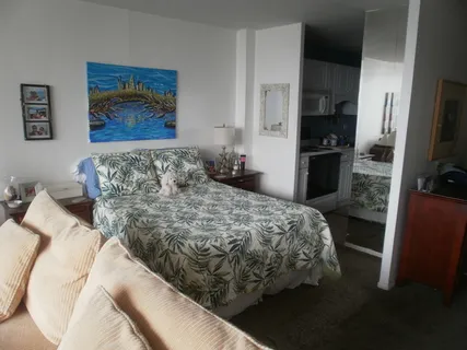 $1,395 | 5100 North Marine Drive, Unit 15C, Chicago, IL 60640