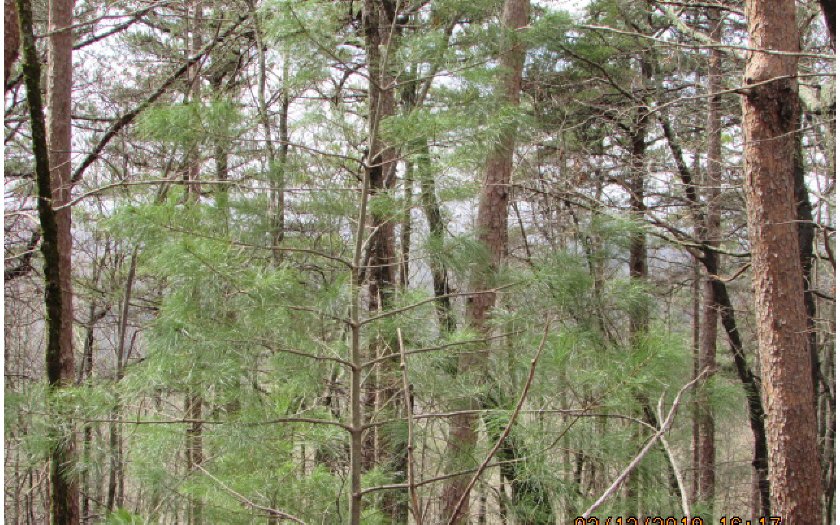 26 Firetower Road Jasper, GA 30143 - Photo 1 of 1