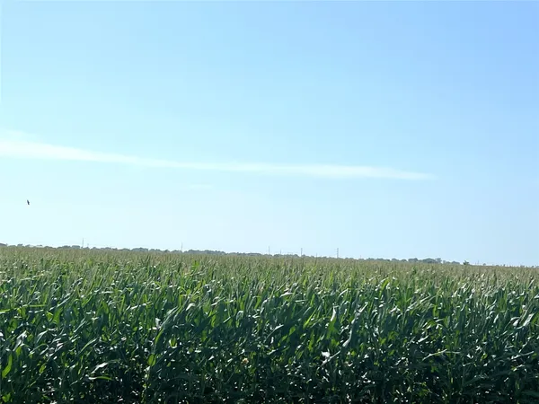 a view of a field