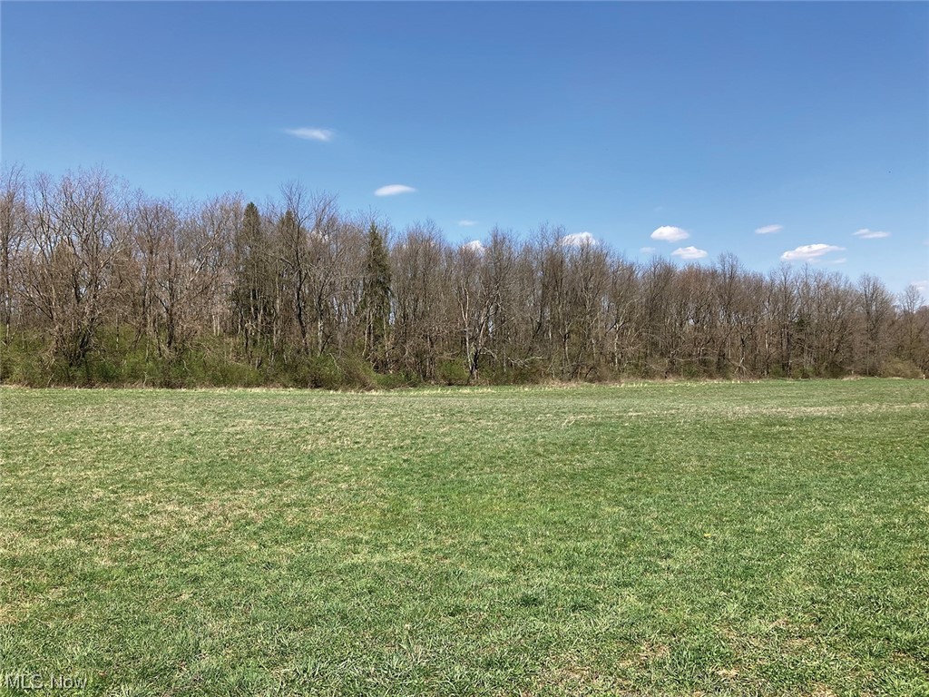 14627 Woodworth Road New Springfield, OH 44443 - Photo 4 of 13