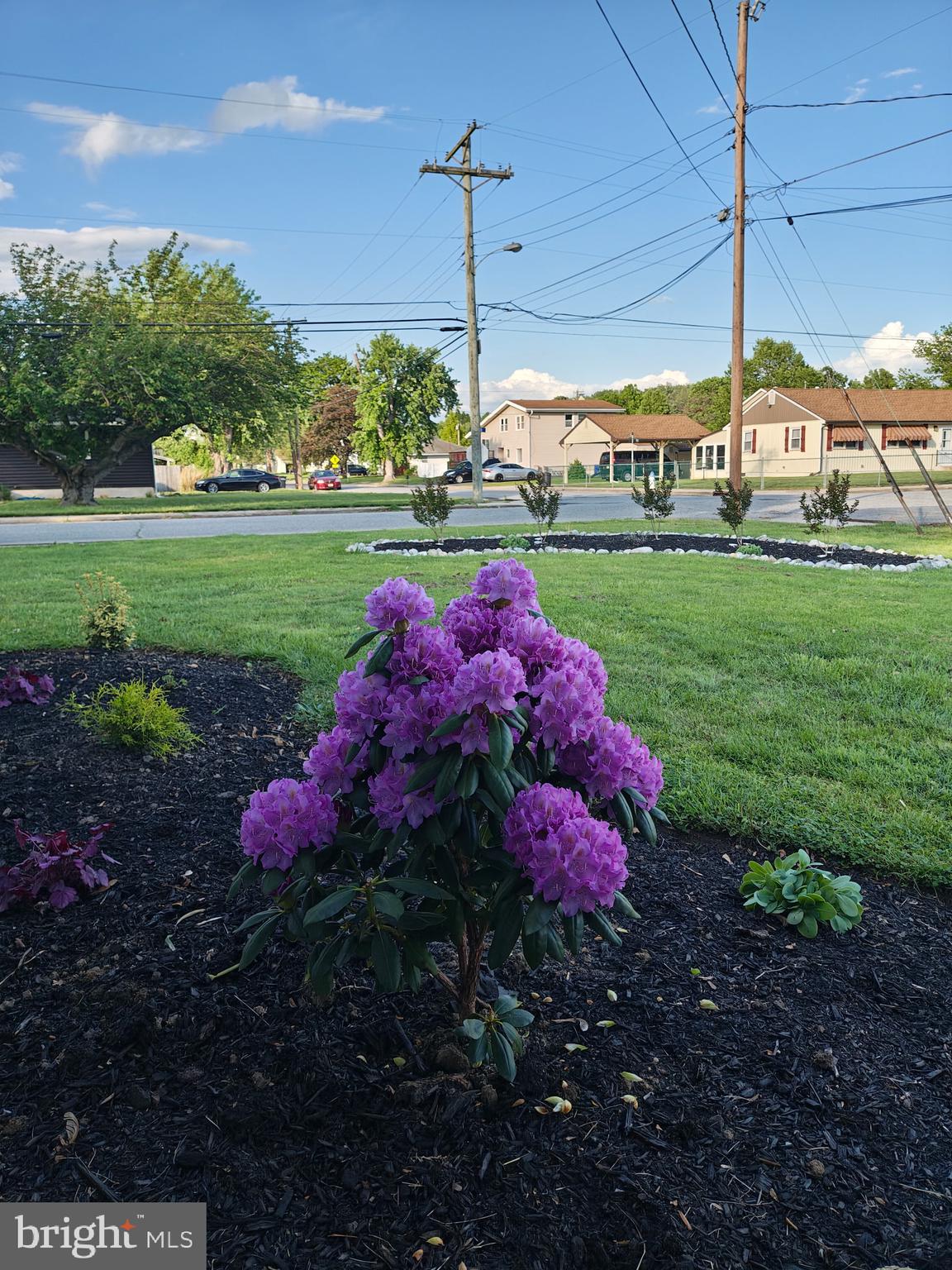 81 Harvard Road Pennsville, NJ 08070 - Photo 27 of 32 a view of a fire pit in front of a house with a yard