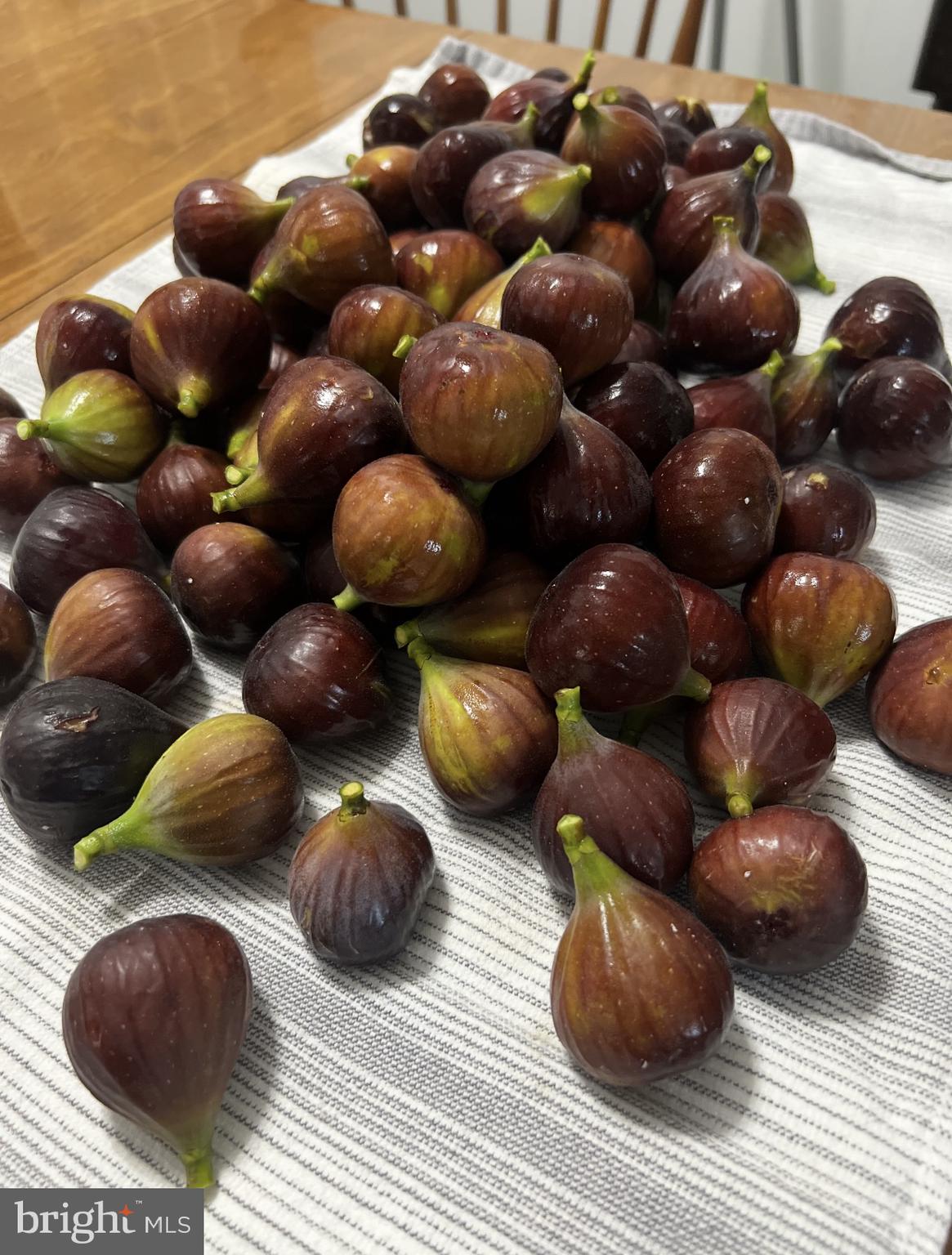 81 Harvard Road Pennsville, NJ 08070 - Photo 31 of 32 a view of entryway fruit and vegetables