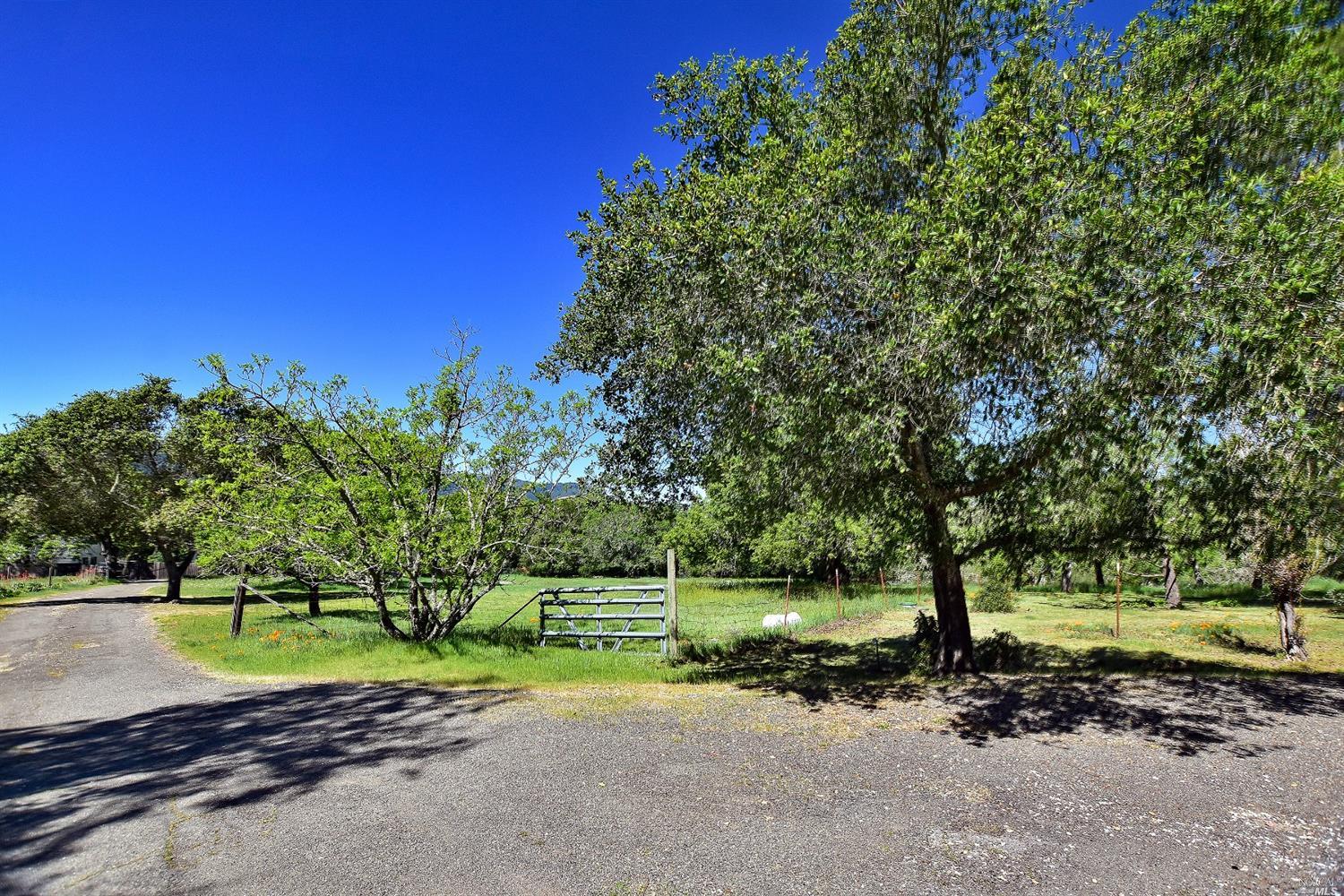 150 Cavedale Road Sonoma, CA 95476 - Photo 1 of 1 This is a view from the home looking back down the drive way.