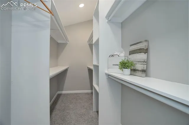 a white painted room with a potted plant