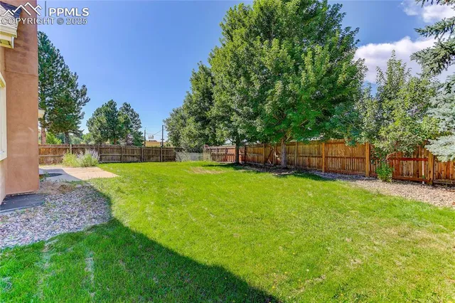 a view of a yard with a slide