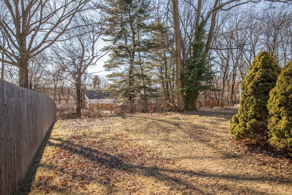 151 Switzer Avenue Springfield, MA 01109 - Photo 24 of 24 Gallery Image 24