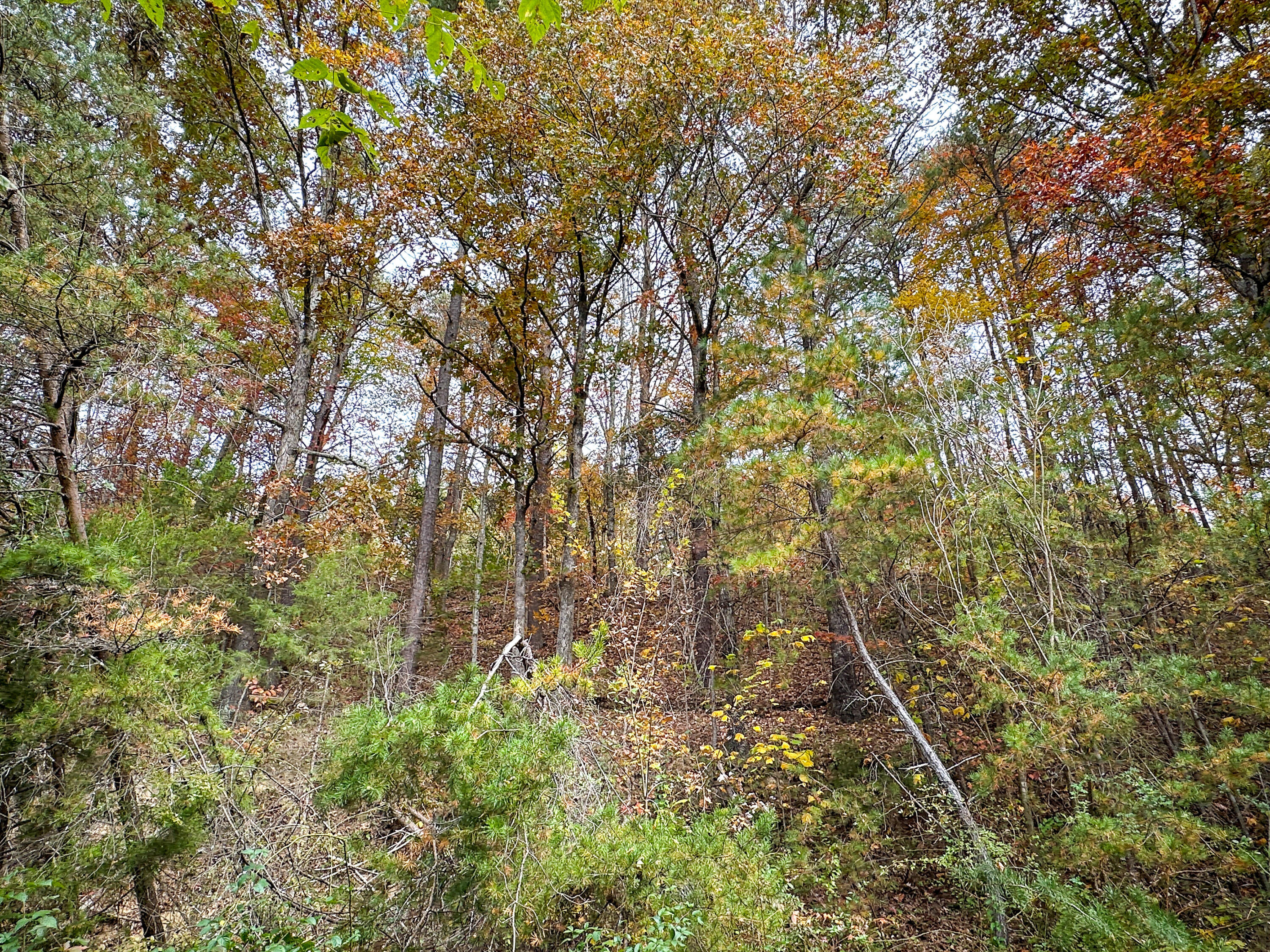999 South Wilderness Road Mount Vernon, KY 40456 - Photo 18 of 19 Photo Oct 26 2025, 1 18 33 PM