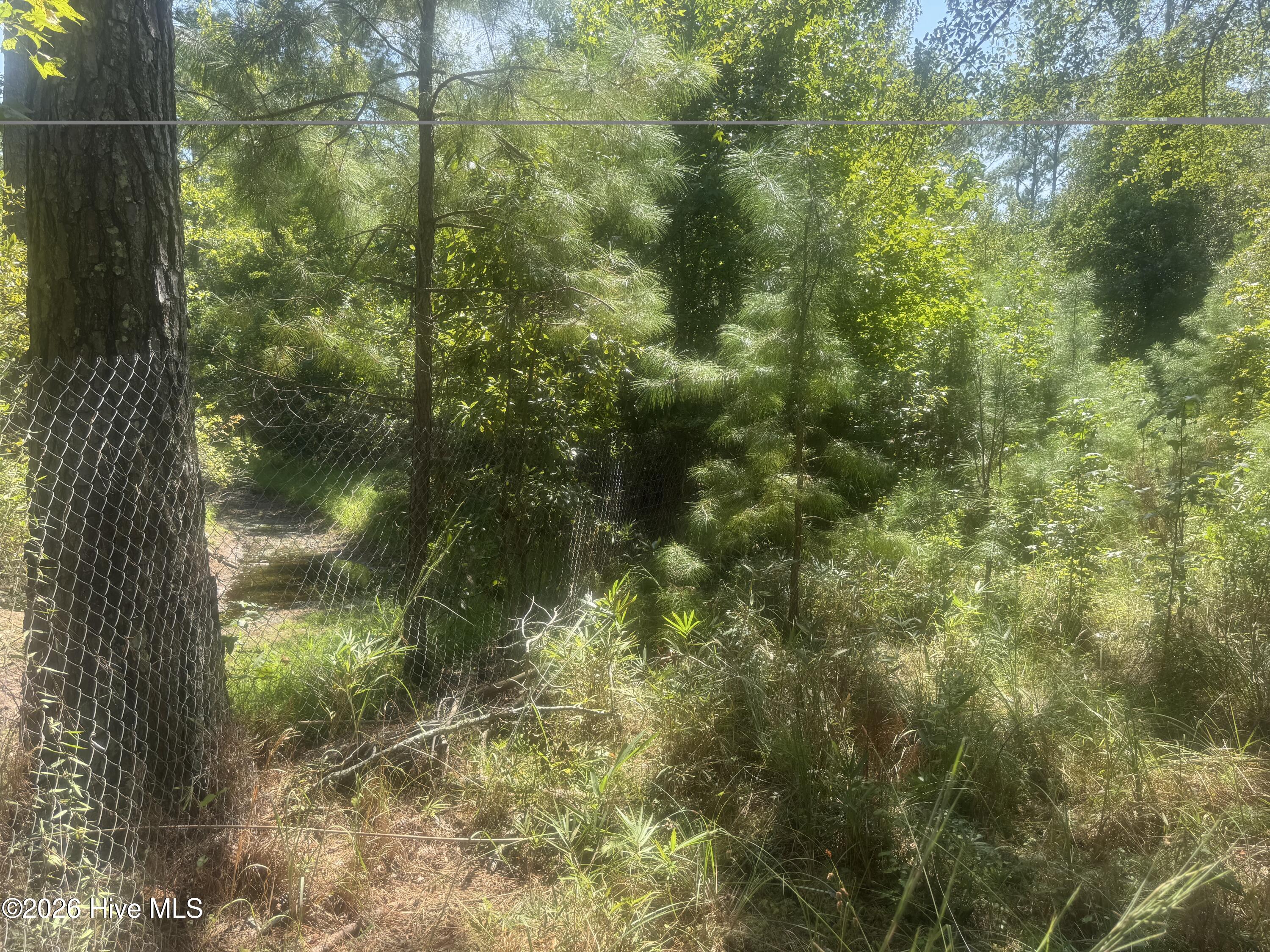 0 Bud Stephens Road Evergreen, NC 28438 - Photo 12 of 12 Gallery Image 12