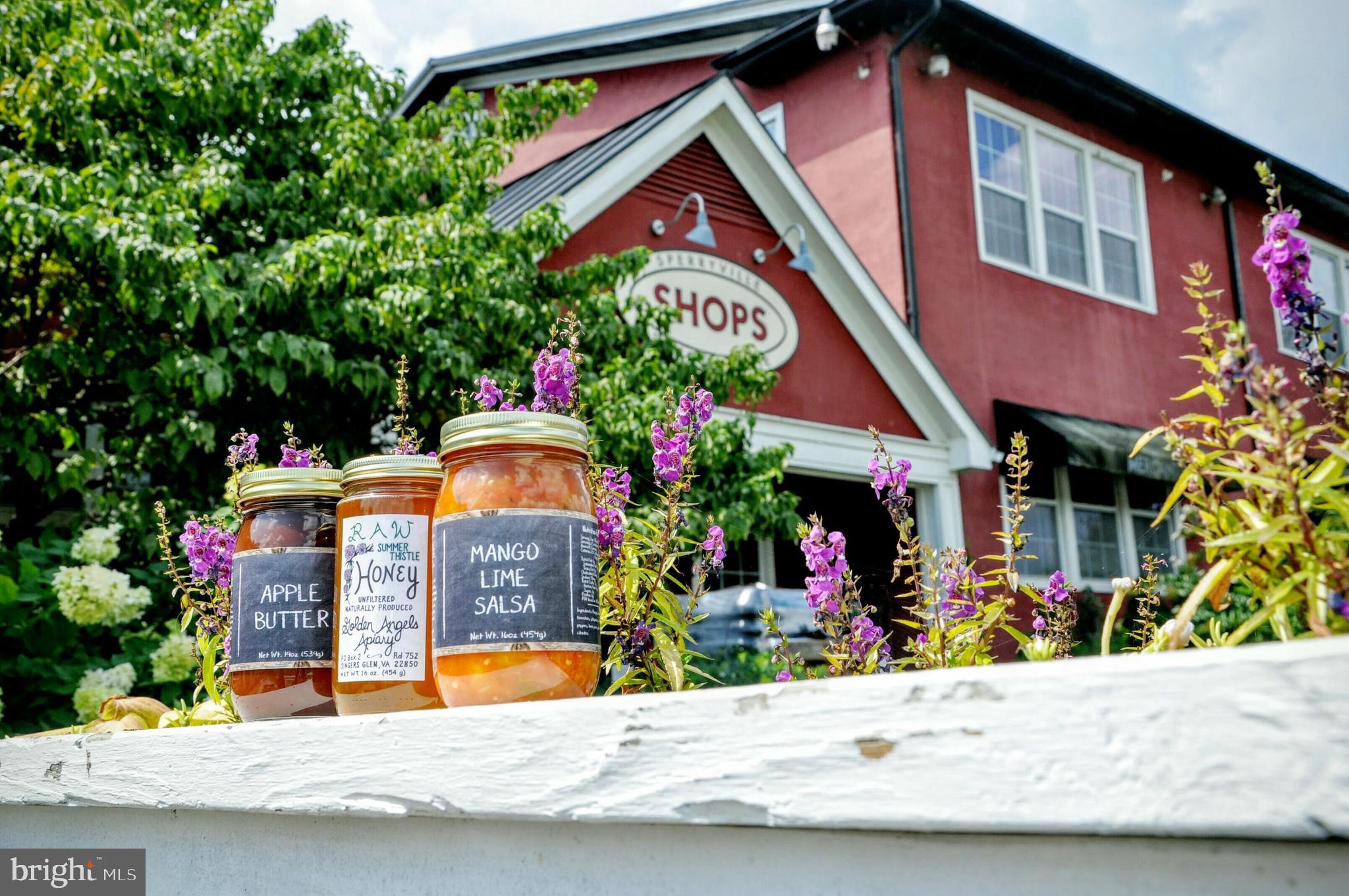 66 Yancey Road Woodville, VA 22749 - Photo 36 of 36 Enjoy local produce and food