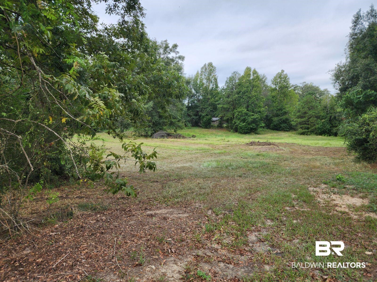 307 Scott Street Brewton, AL 36426 - Photo 2 of 19 View of nature