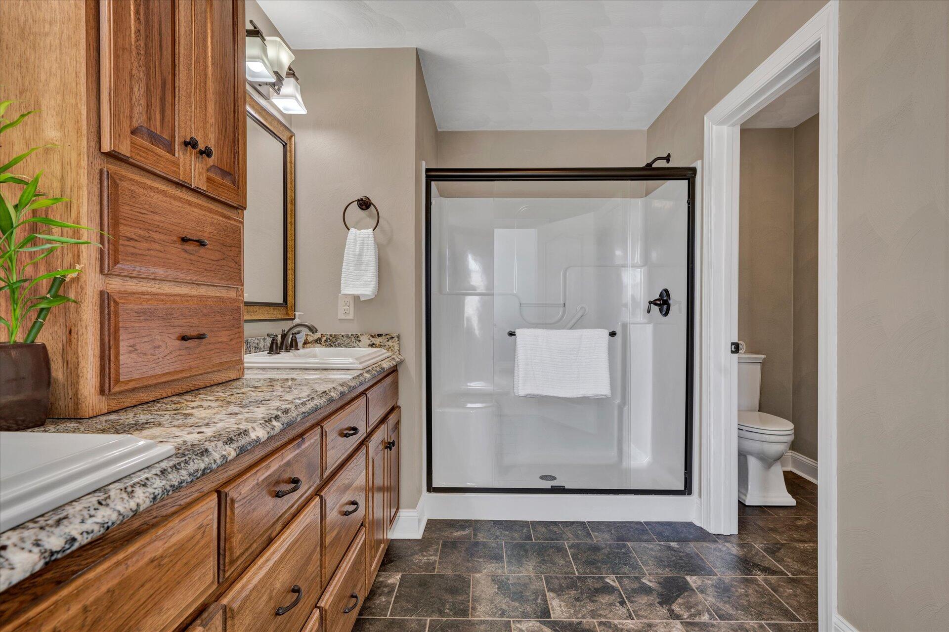 1015 Green Level Road Boones Mill, VA 24065 - Photo 33 of 51 a bathroom with a granite countertop sink a mirror and shower