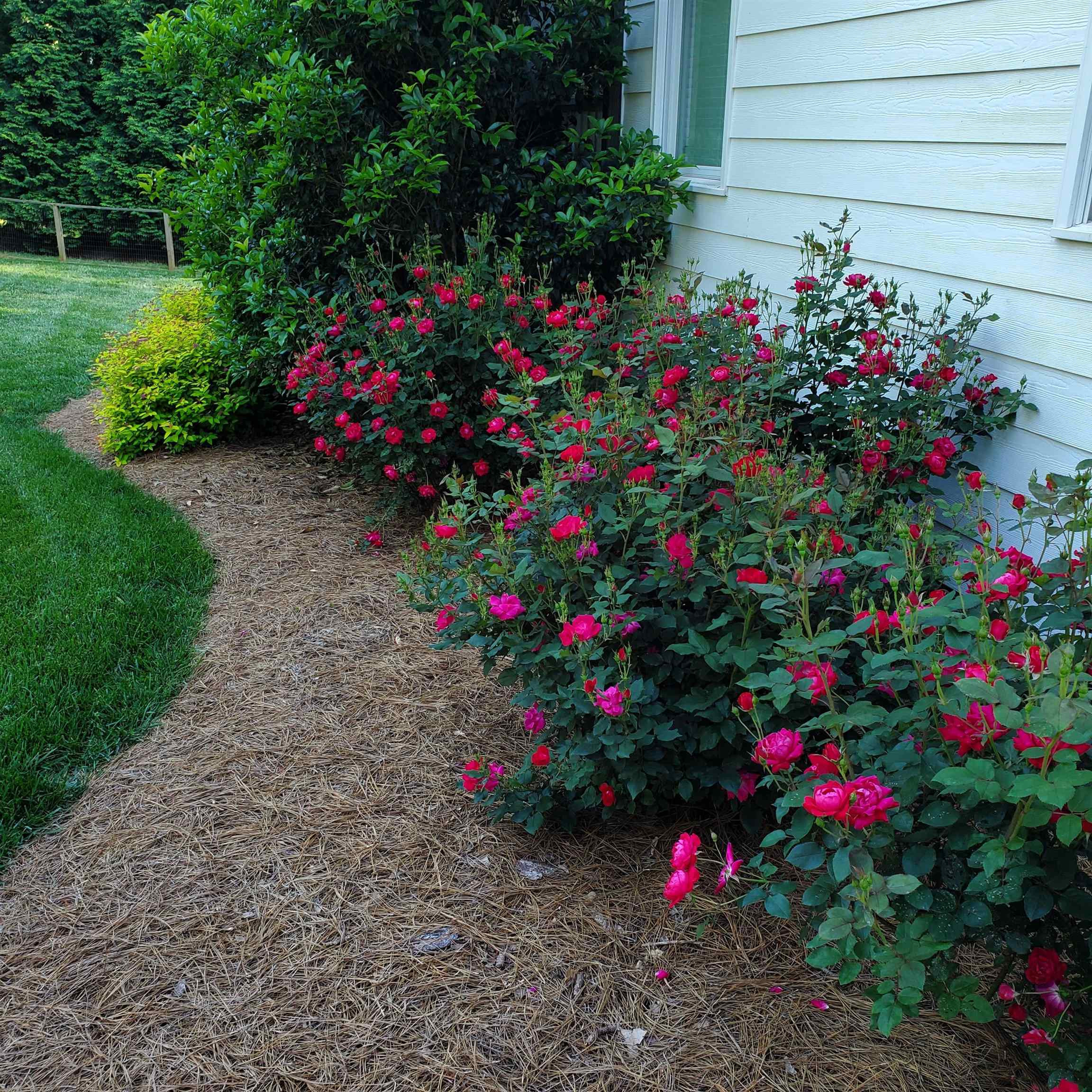 12628 Old Creedmoor Road Raleigh, NC 27613 - Photo 25 of 32 Photo 25