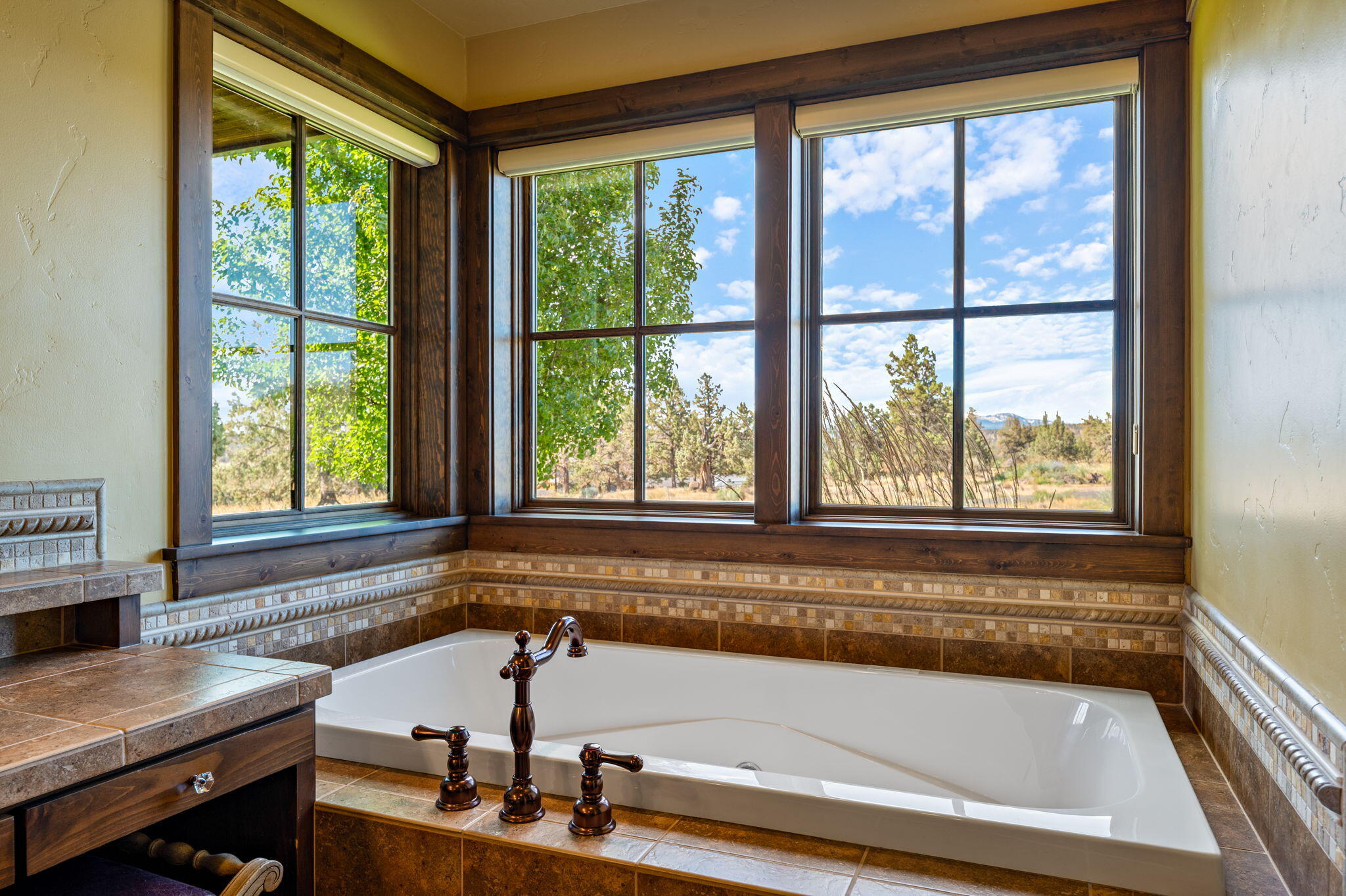 71285 Holmes Road Sisters, OR 97759 - Photo 31 of 123 a bathroom with a bathtub and a window