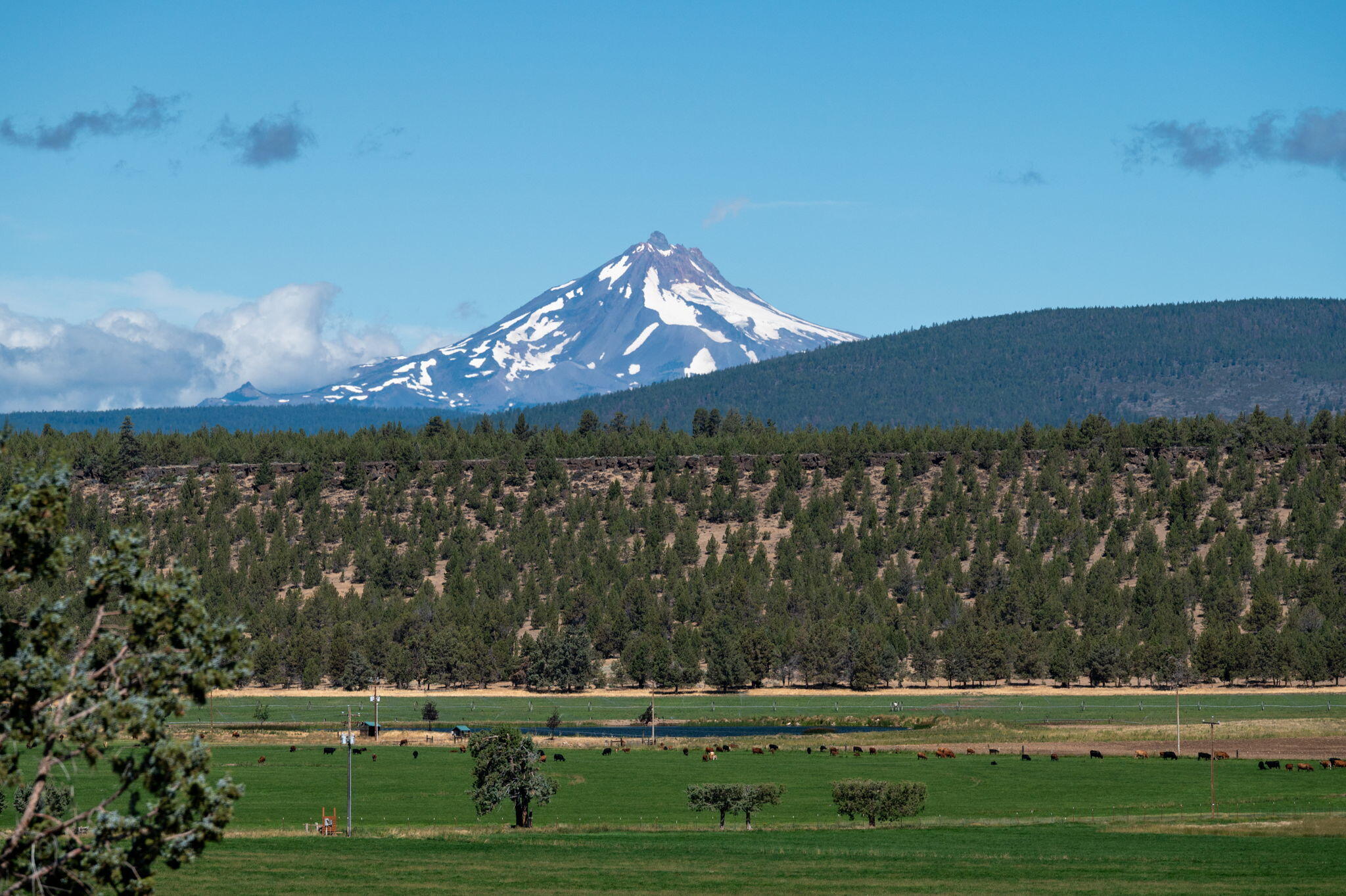 71285 Holmes Road Sisters, OR 97759 - Photo 40 of 123 a view of a green field
