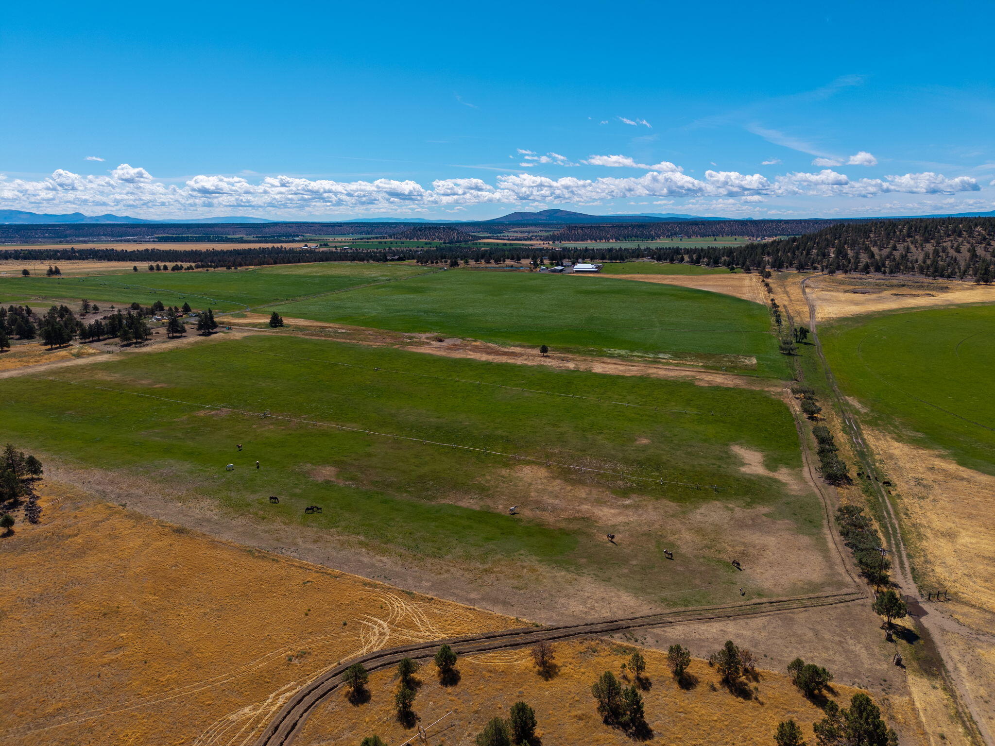 71285 Holmes Road Sisters, OR 97759 - Photo 75 of 123 095