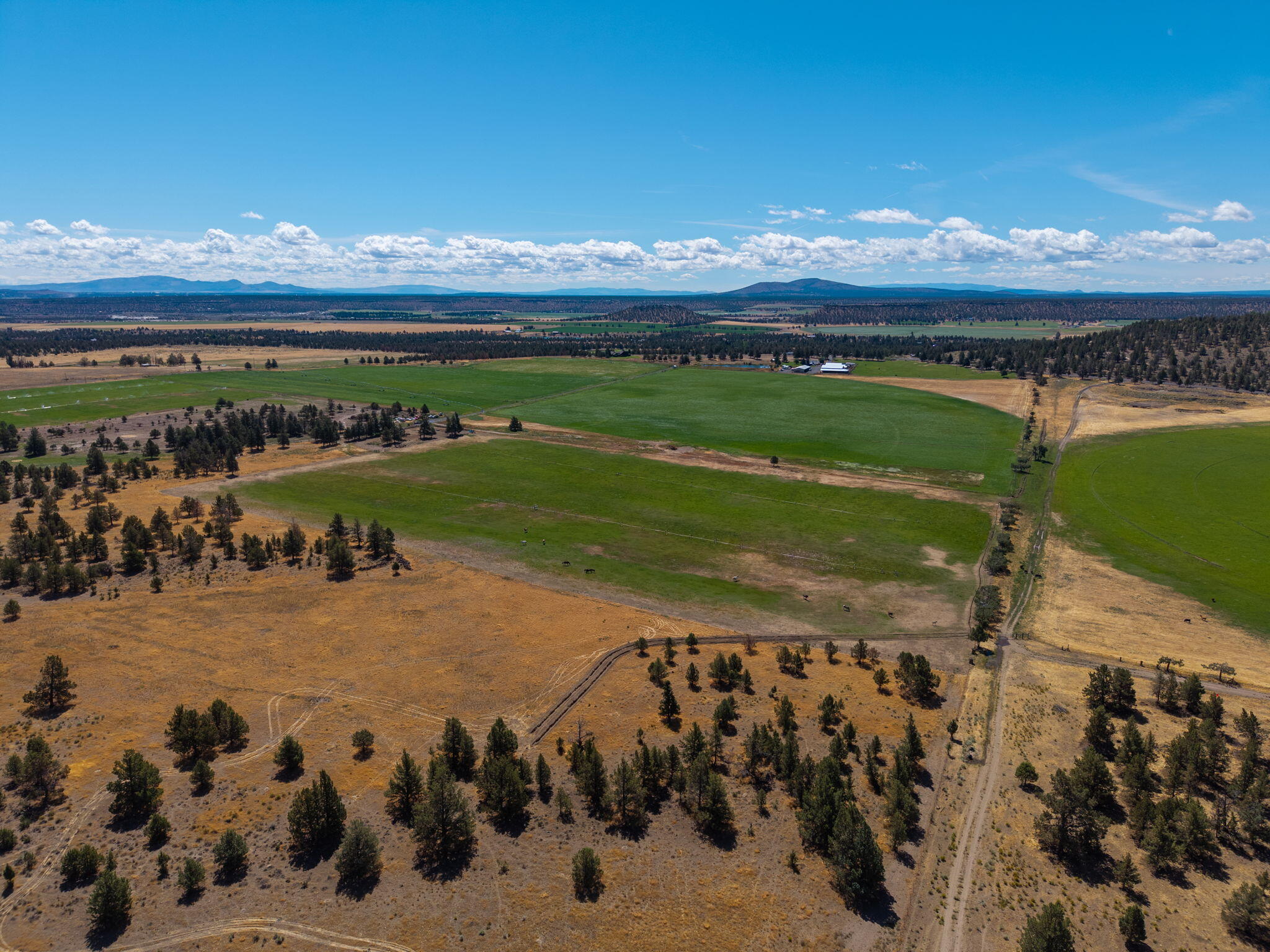 71285 Holmes Road Sisters, OR 97759 - Photo 77 of 123 097