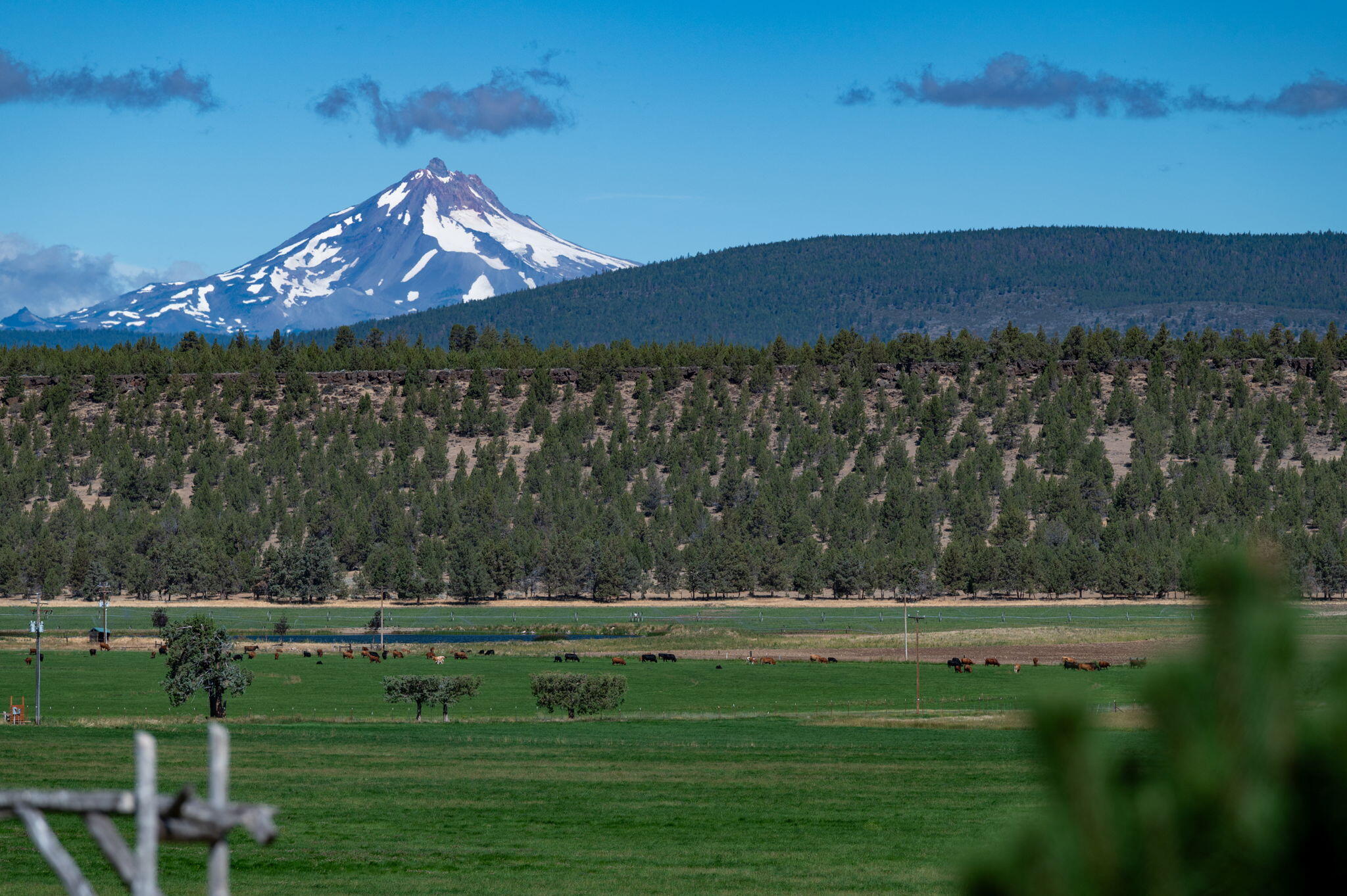 71285 Holmes Road Sisters, OR 97759 - Photo 84 of 123 109
