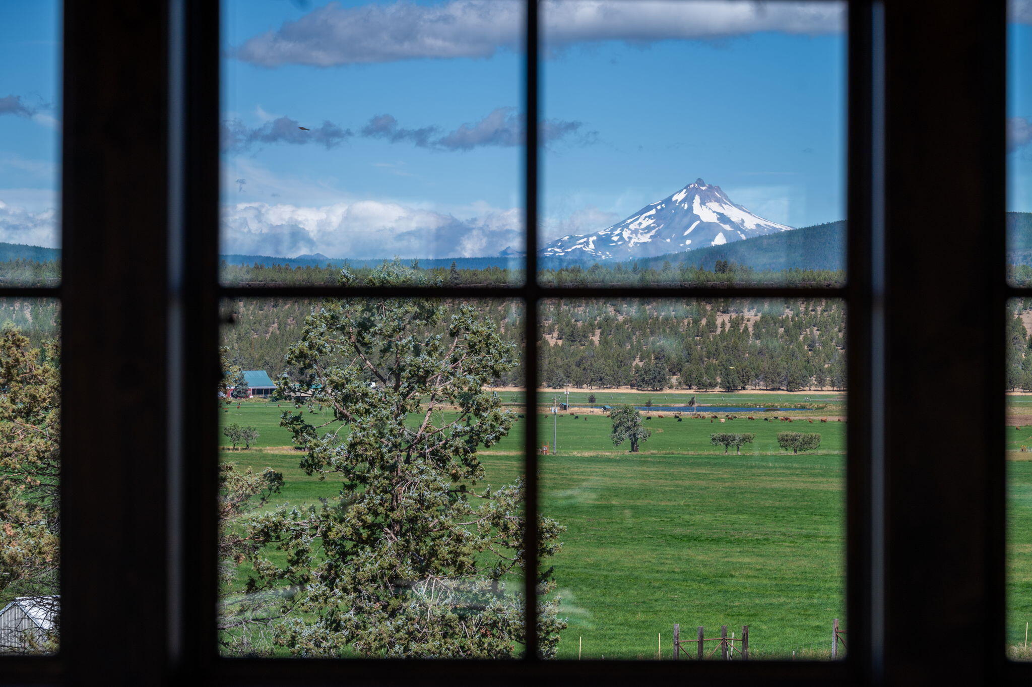 71285 Holmes Road Sisters, OR 97759 - Photo 86 of 123 a view of backyard from window