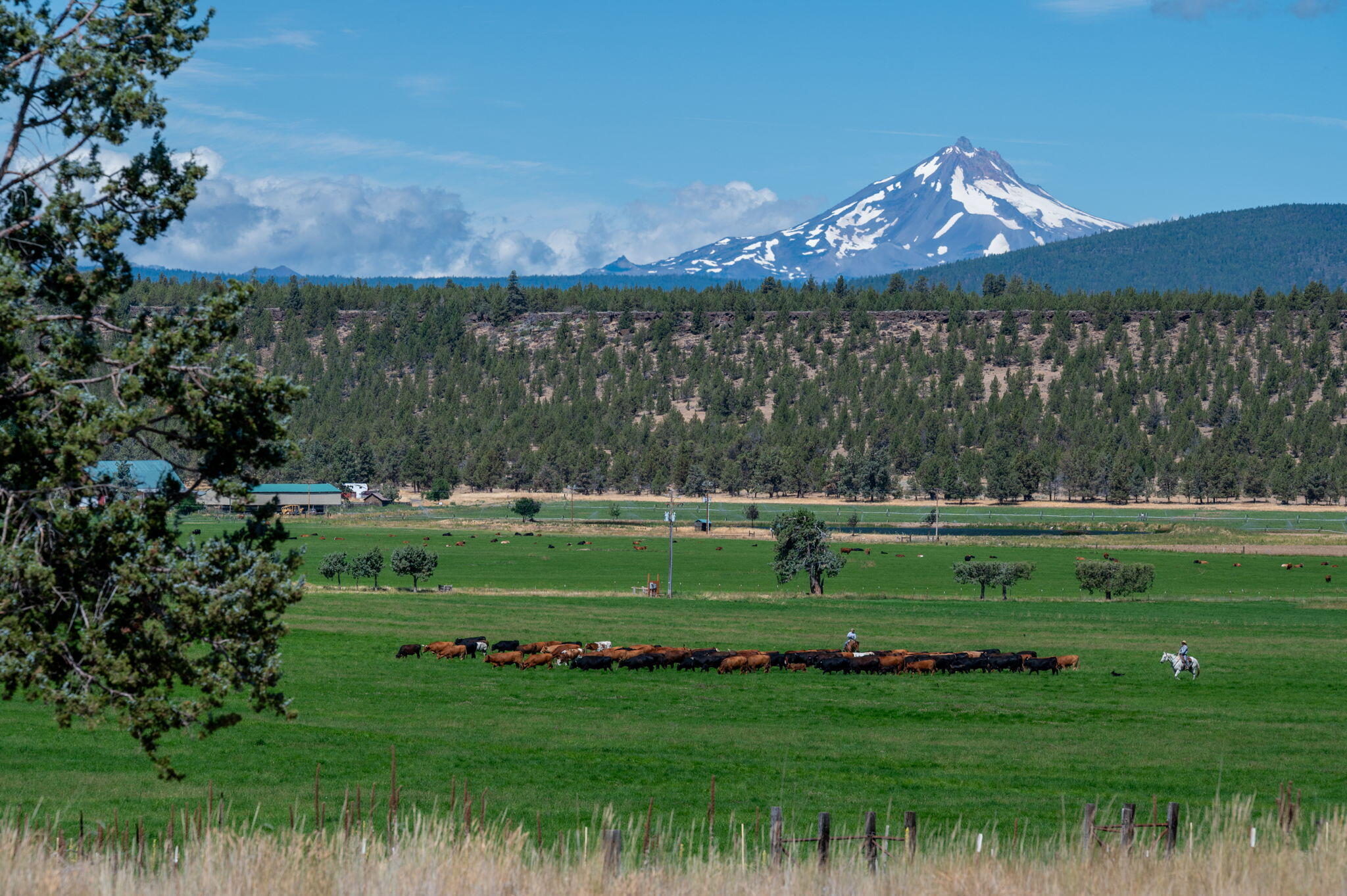 71285 Holmes Road Sisters, OR 97759 - Photo 9 of 123 008
