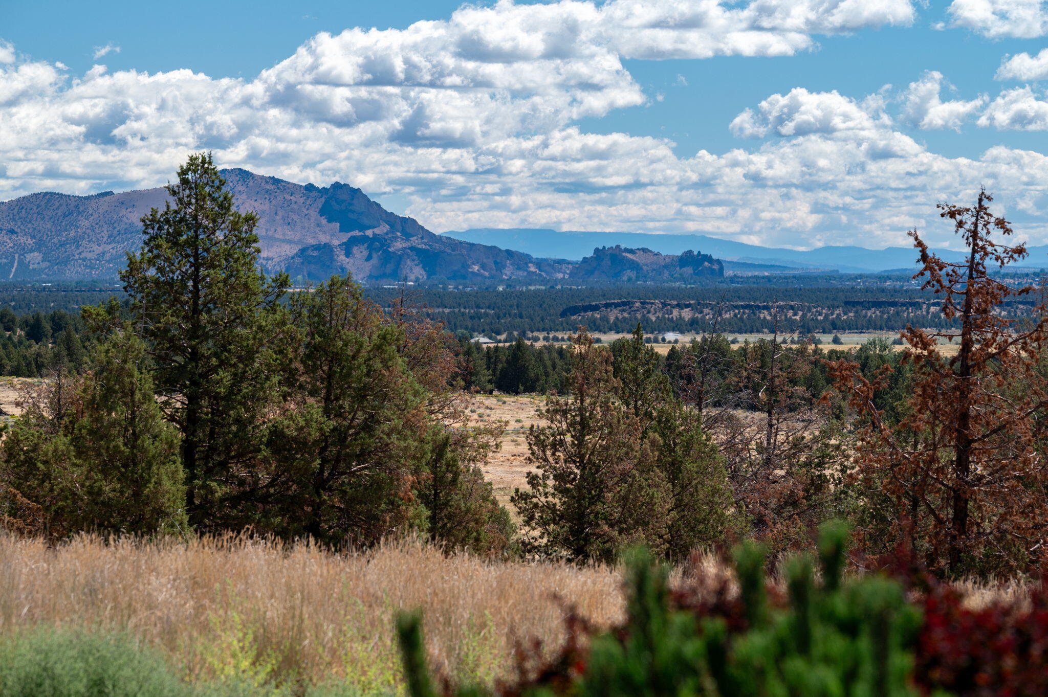 71285 Holmes Road Sisters, OR 97759 - Photo 91 of 123 a view of a city with lots of trees