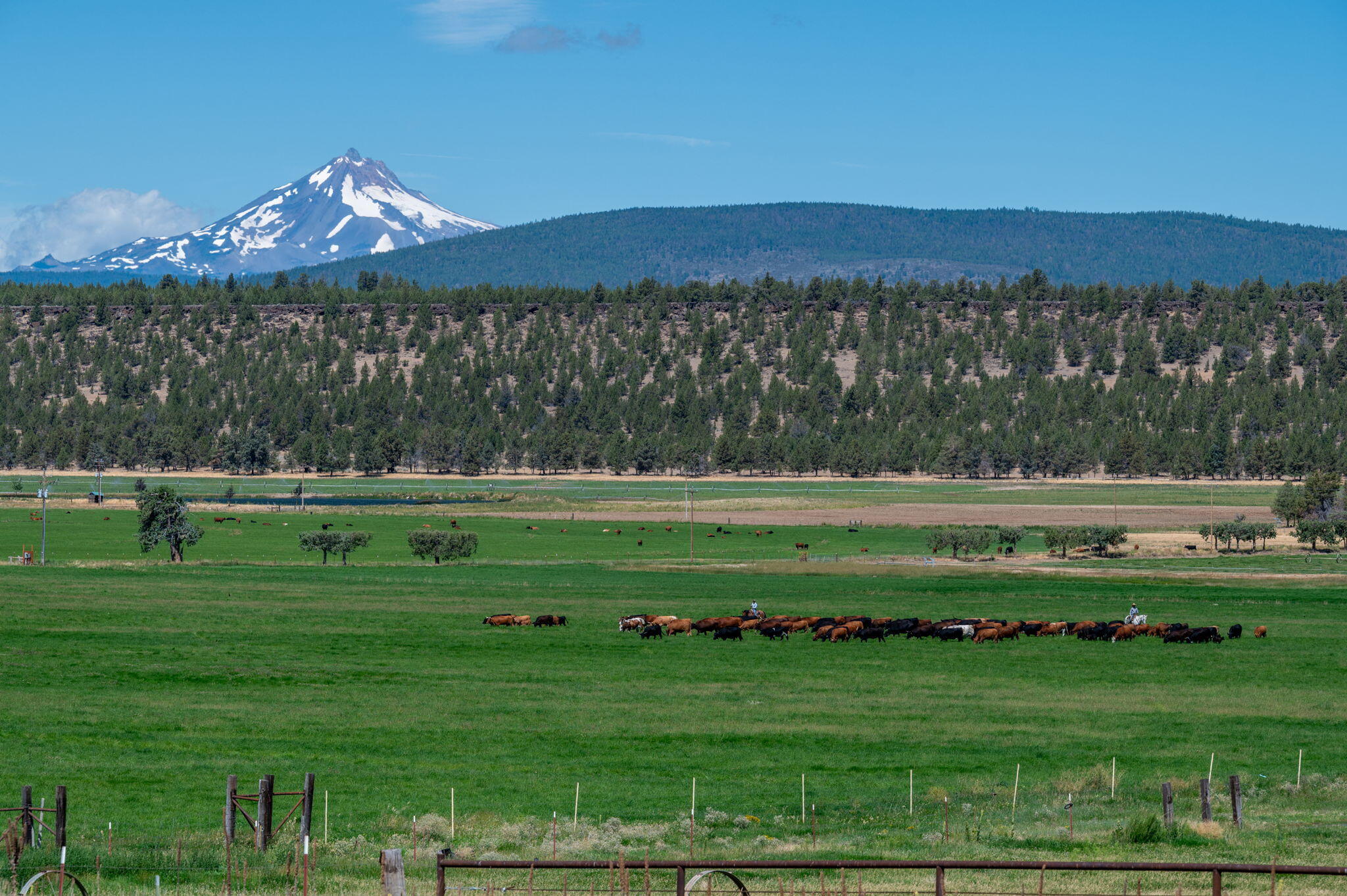 71285 Holmes Road Sisters, OR 97759 - Photo 93 of 123 119