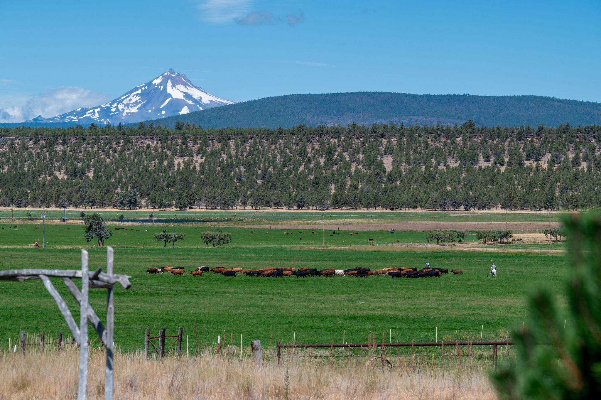 71285 Holmes Road Sisters, OR 97759 - Photo 94 of 123 a view of a golf course with a lake