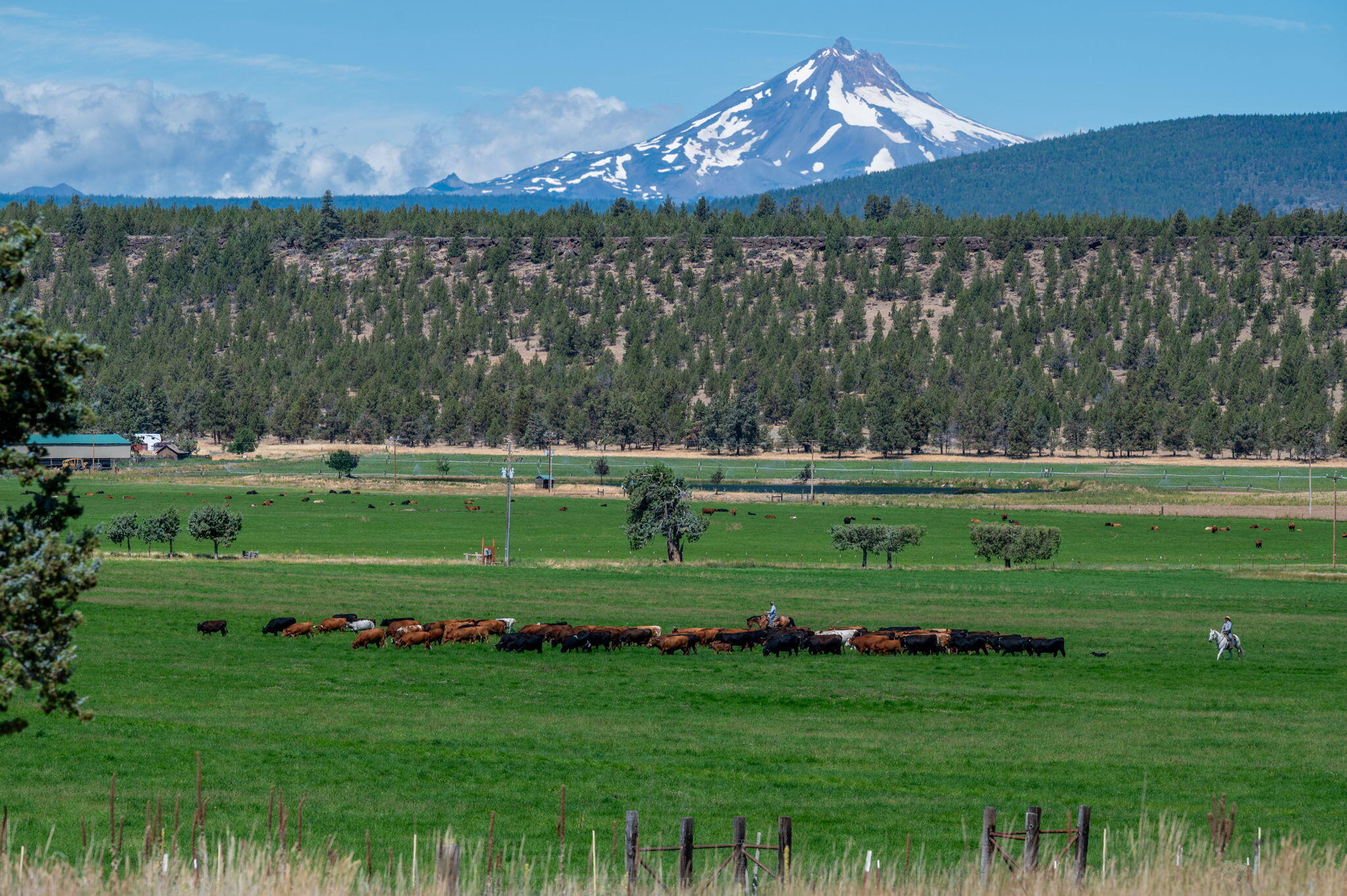 71285 Holmes Road Sisters, OR 97759 - Photo 95 of 123 121
