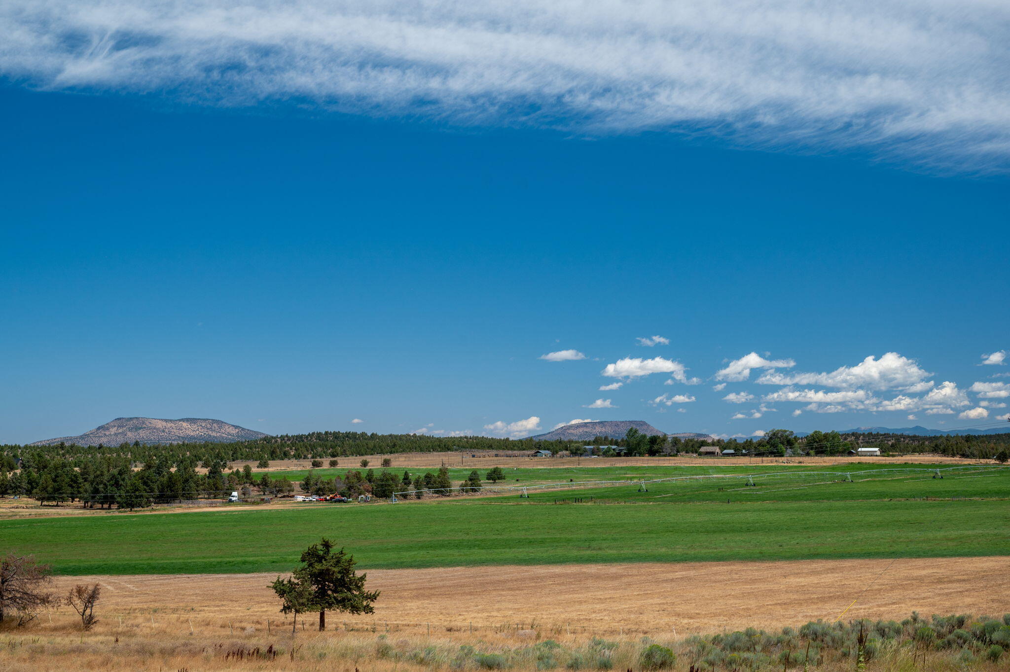 71285 Holmes Road Sisters, OR 97759 - Photo 99 of 123 127