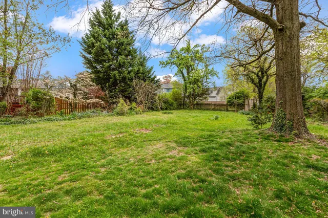 a view of a trees with a yard