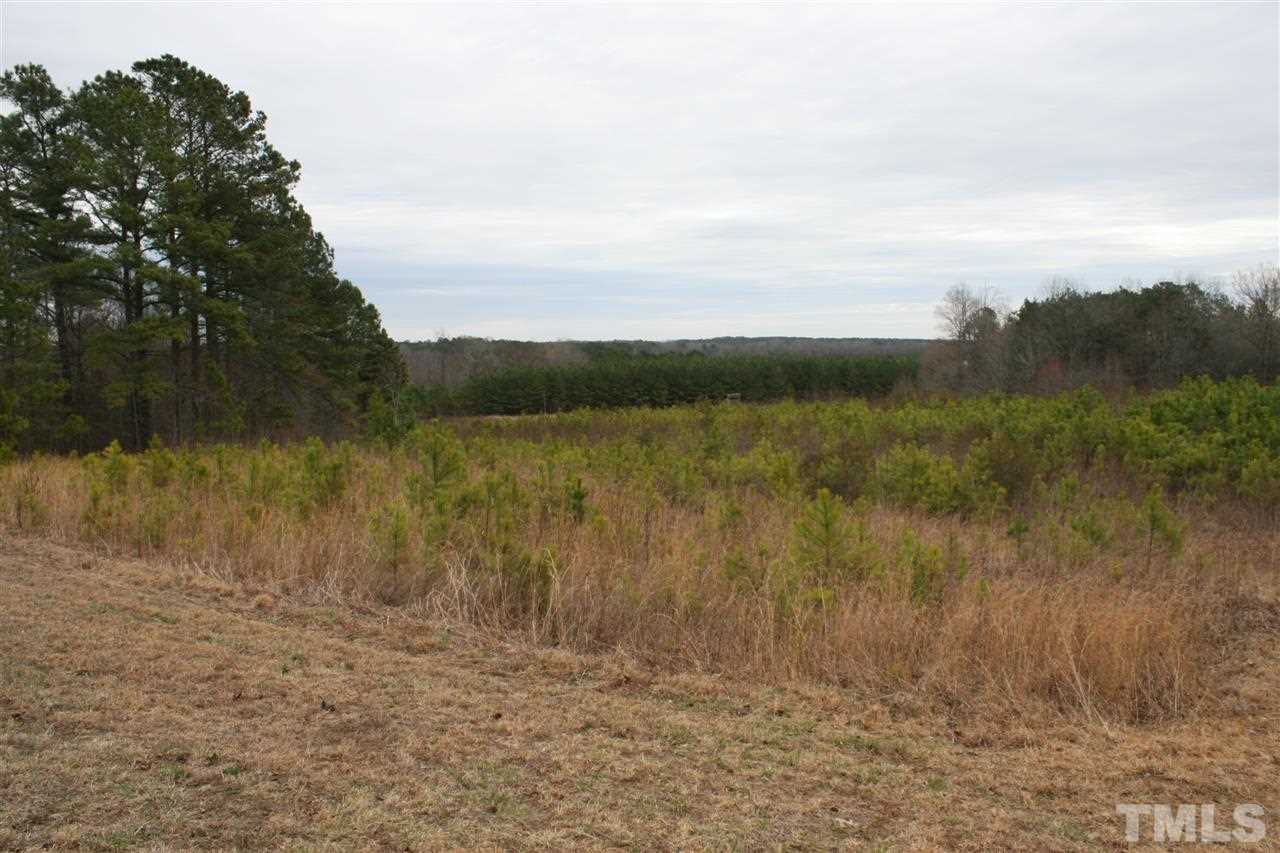 8320 Antioch Church Road Middlesex, NC 27557 - Photo 4 of 20 Gallery Image 4