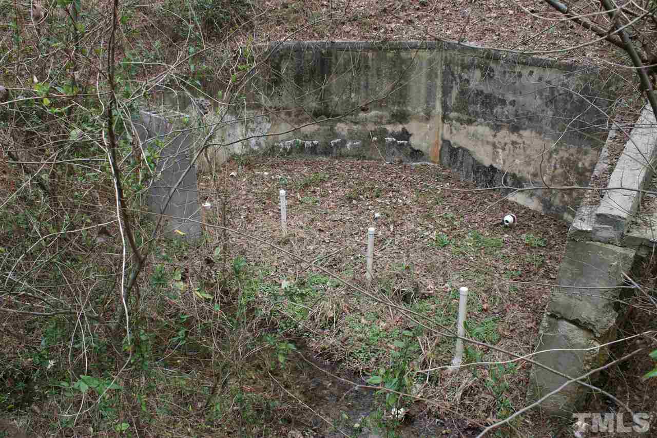 8320 Antioch Church Road Middlesex, NC 27557 - Photo 10 of 20 Natural Spring