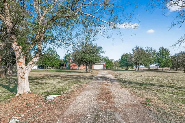 a view of a yard with large trees