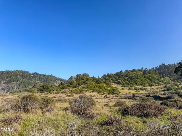 a view of a dry yard with mountains in the background