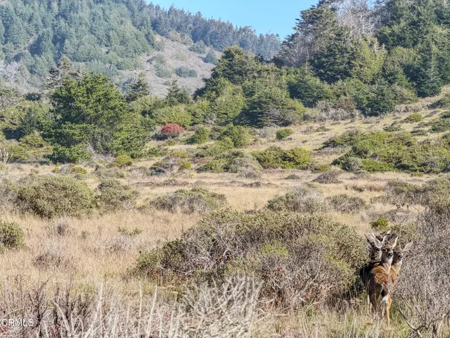 $999,000 | 37601 North Highway 1, Westport, CA 95488