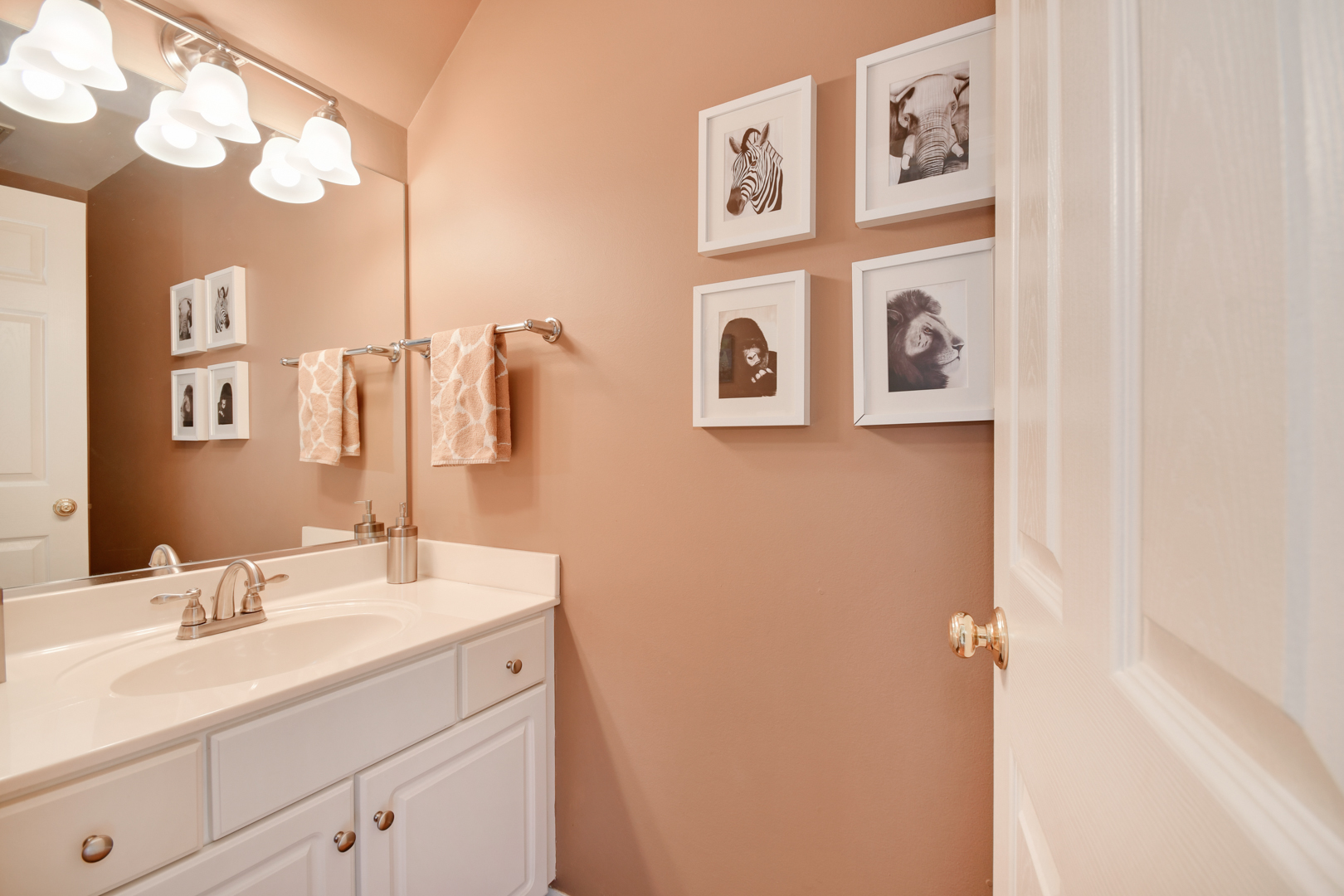 8211 Ripple Ridge Darien, IL 60561 - Photo 10 of 17 a bathroom with a sink and a mirror