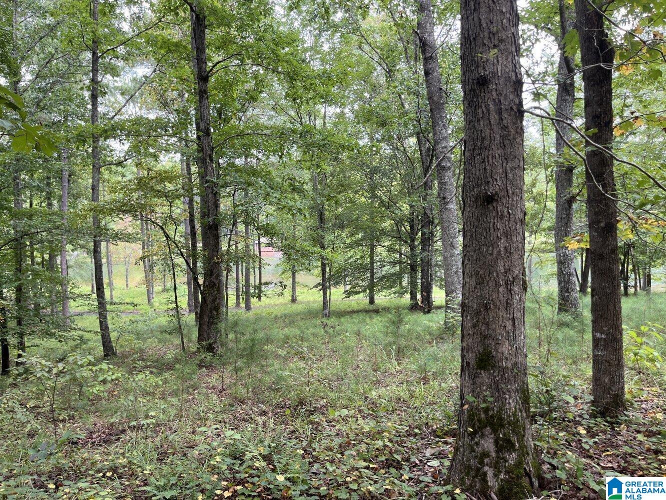 618 Ridge Lake Road, Unit 2A Columbiana, AL 35051 - Photo 9 of 11