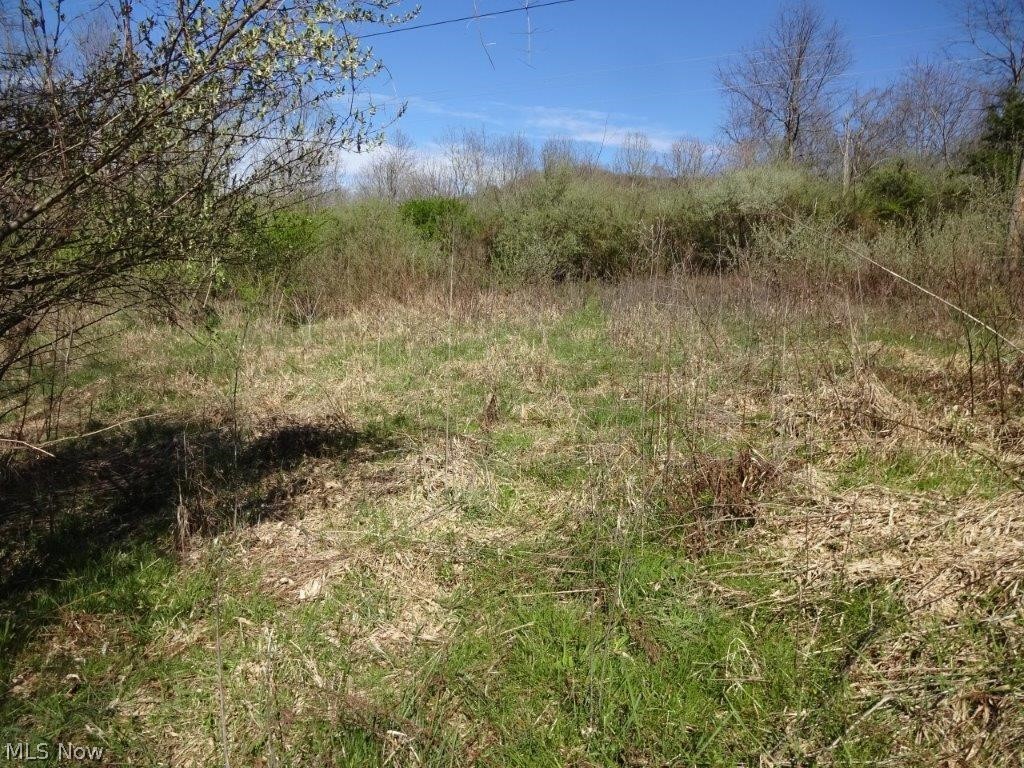 Daniels Run Road Palestine, WV 26160 - Photo 3 of 25