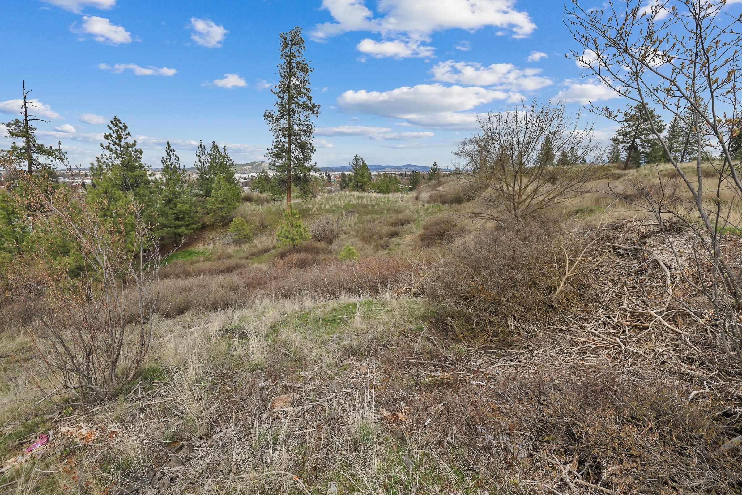 611 South Pittsburg Street Spokane, WA 99202 - Photo 10 of 14