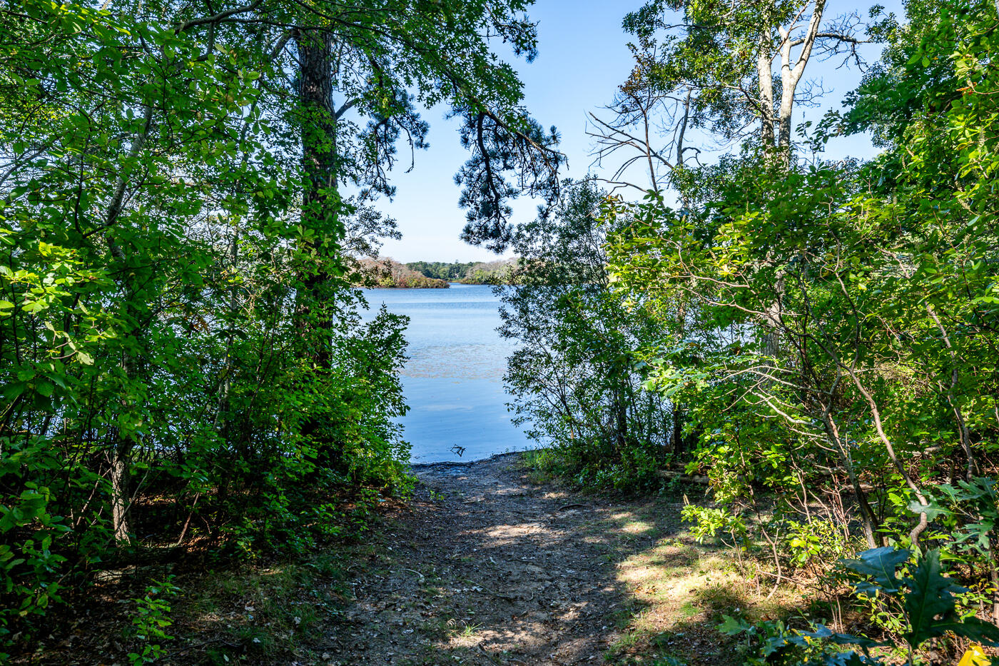 40 Goose Point Road Centerville, MA 02601 - Photo 29 of 30 a view of a lake in between two plants and trees