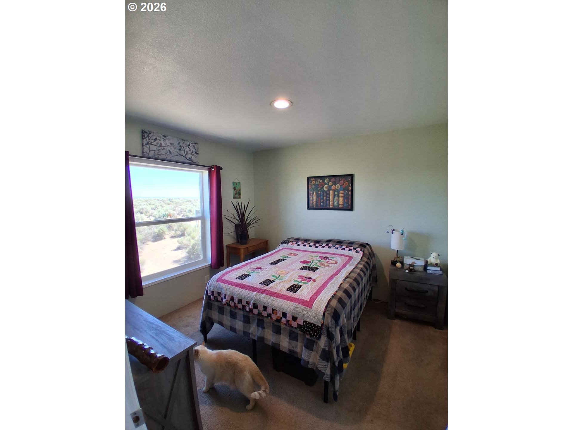 58936 Fossil Lake Road Christmas Valley, OR 97641 - Photo 23 of 27