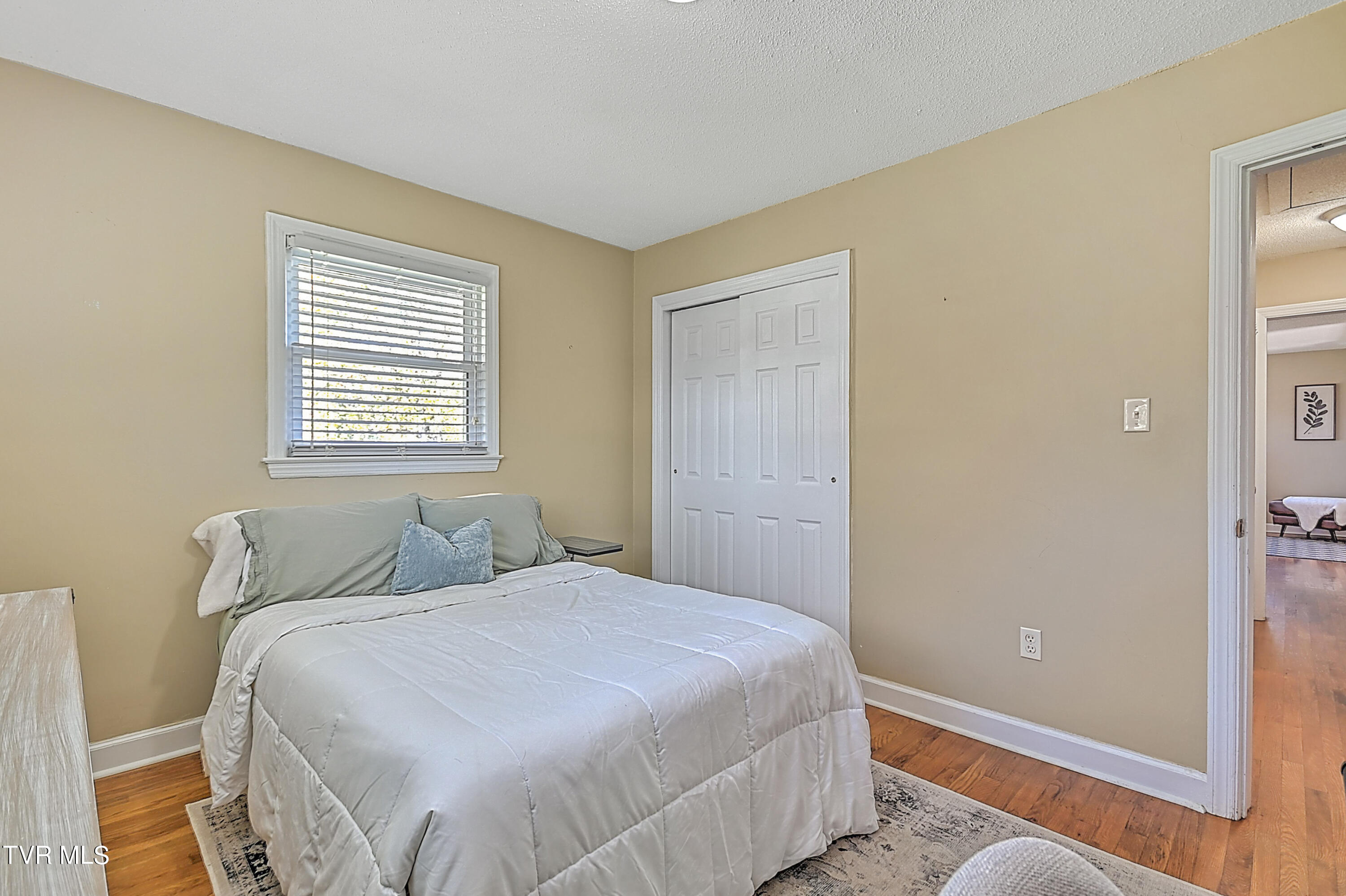 107 Walnut Road Bristol, TN 37620 - Photo 12 of 35 107 Walnut Gdawg-17