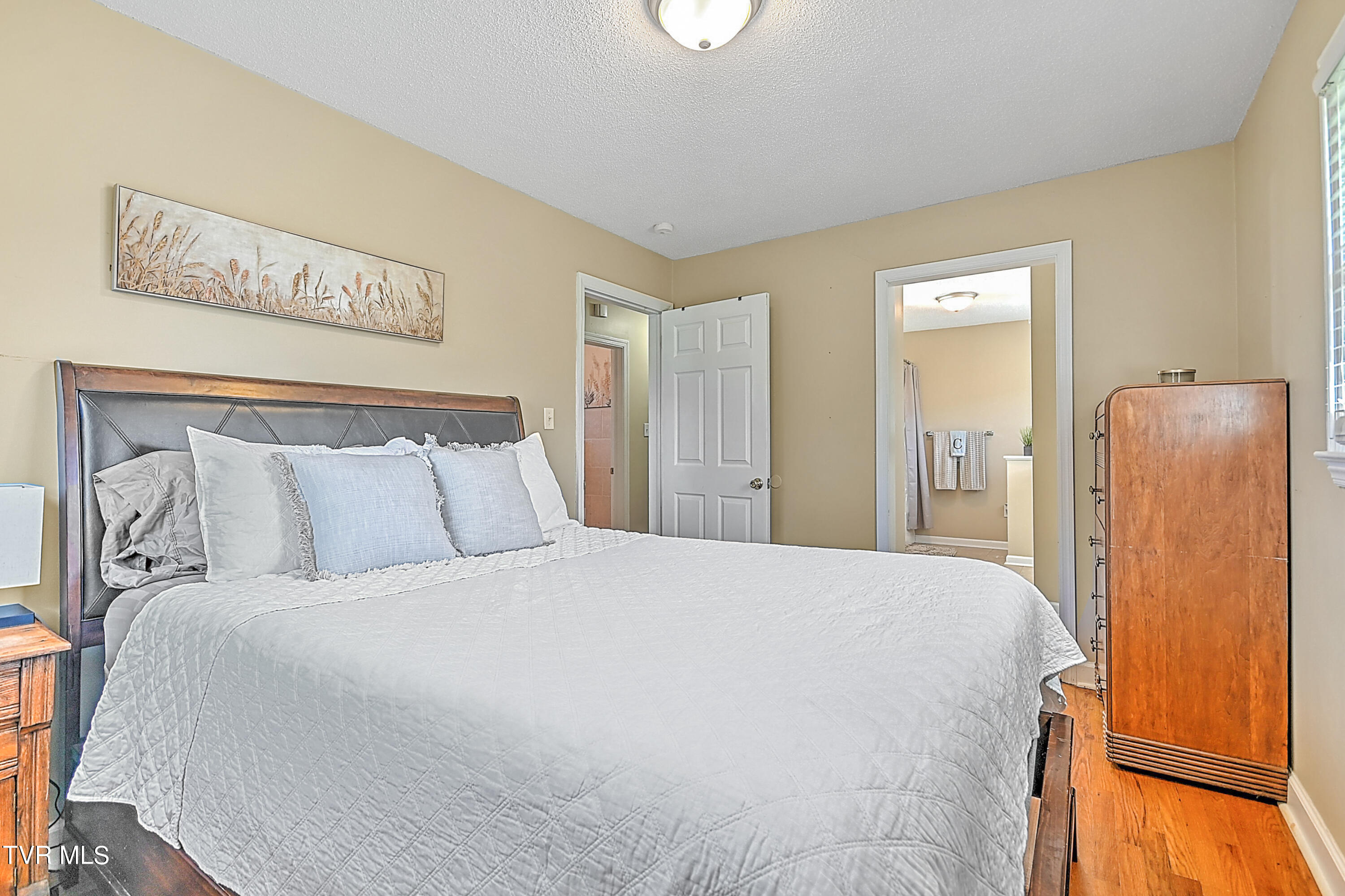 107 Walnut Road Bristol, TN 37620 - Photo 18 of 35 107 Walnut Gdawg-23