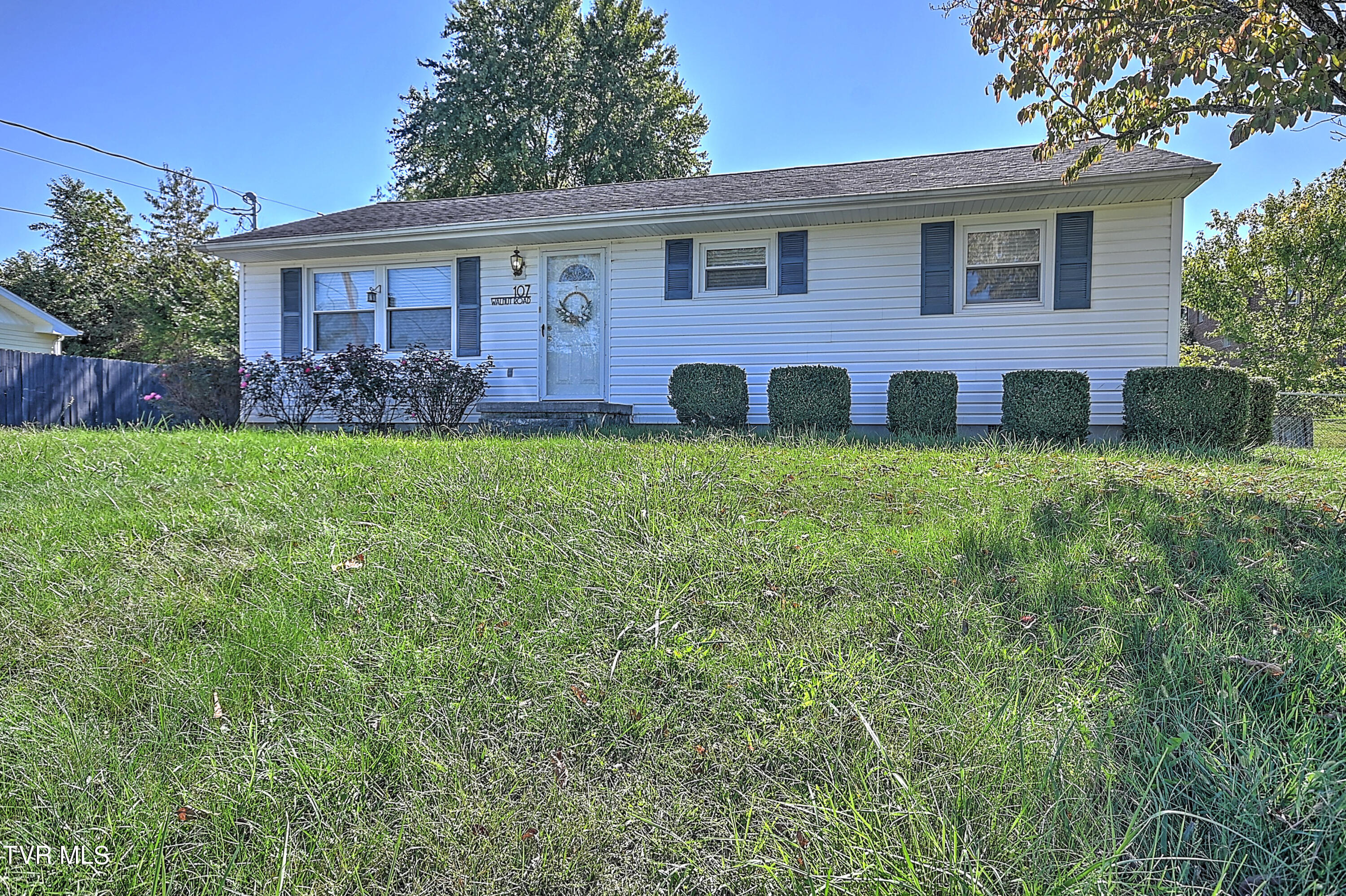 107 Walnut Road Bristol, TN 37620 - Photo 2 of 35 107 Walnut Gdawg-2