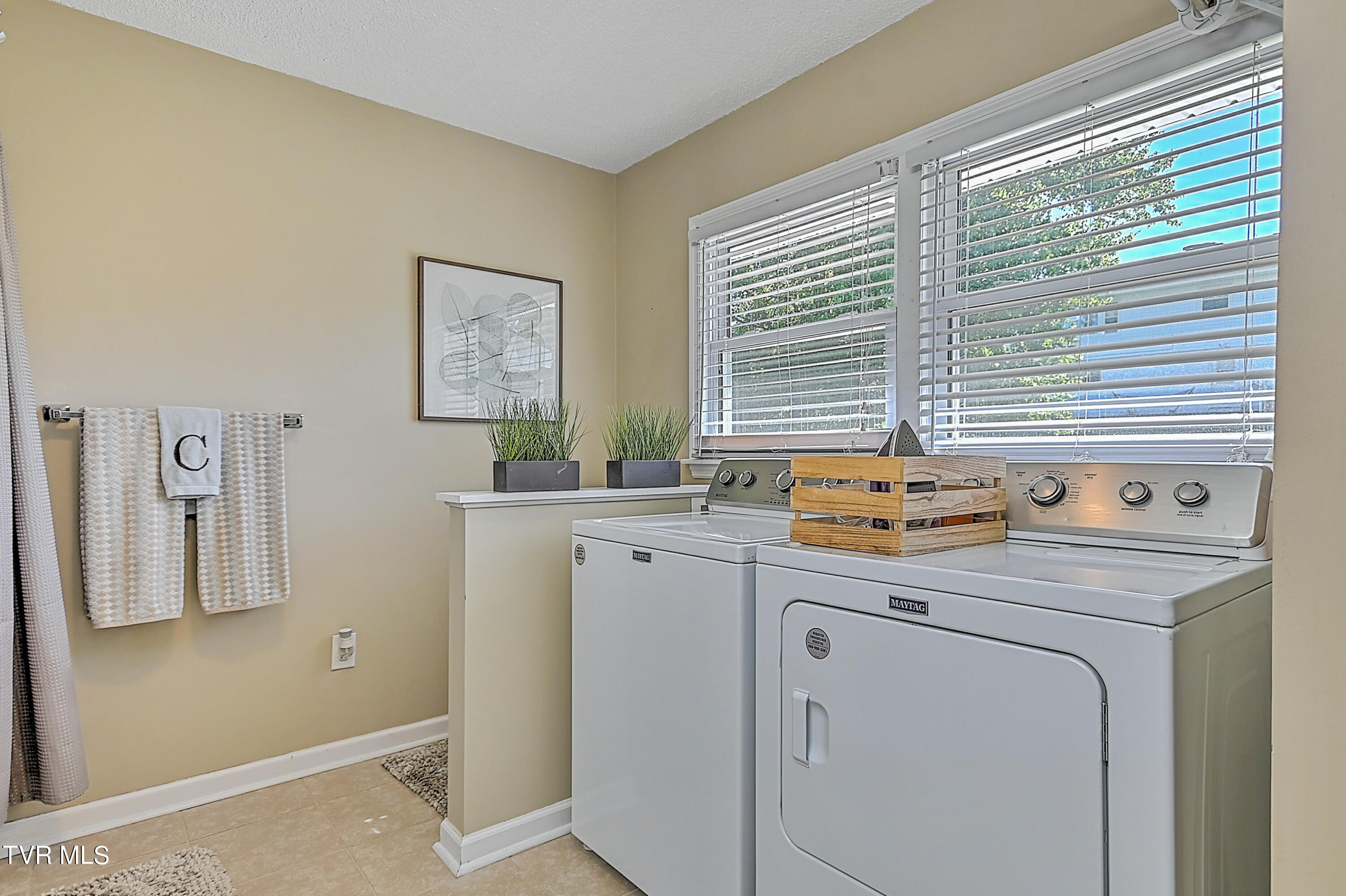 107 Walnut Road Bristol, TN 37620 - Photo 21 of 35 107 Walnut Gdawg-26